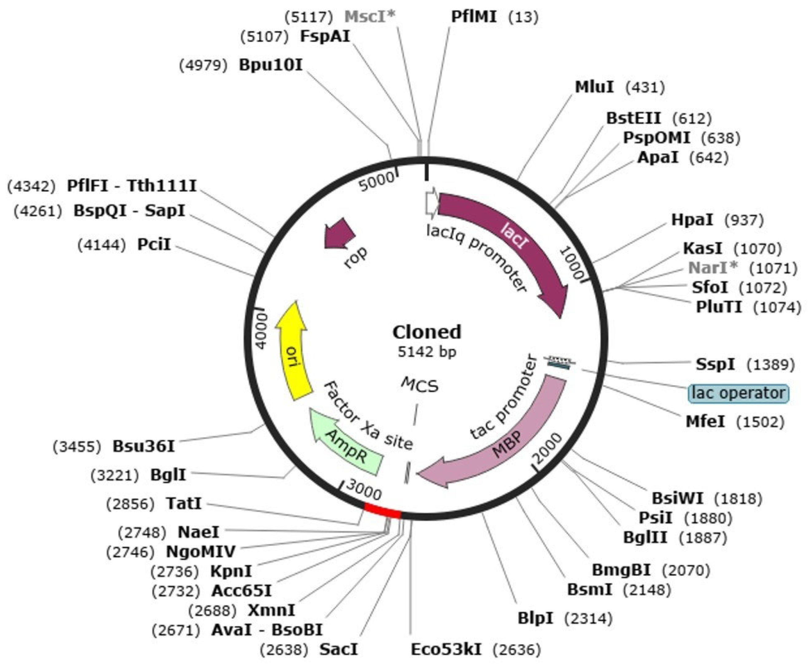 Pharmaceuticals 19 00029 g011