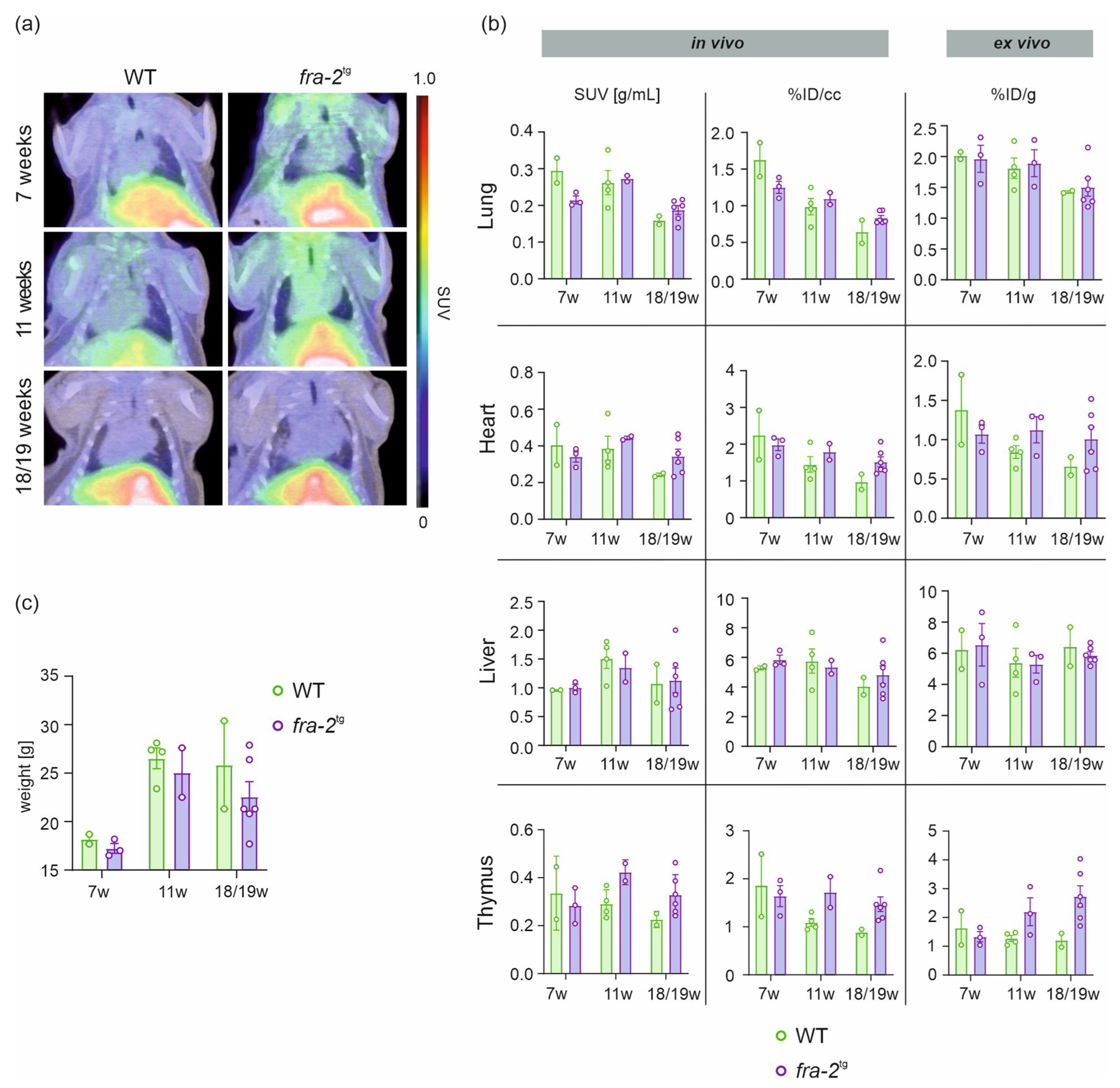 Pharmaceuticals 19 00034 g002 Pharmaceuticals 19 00034 g002