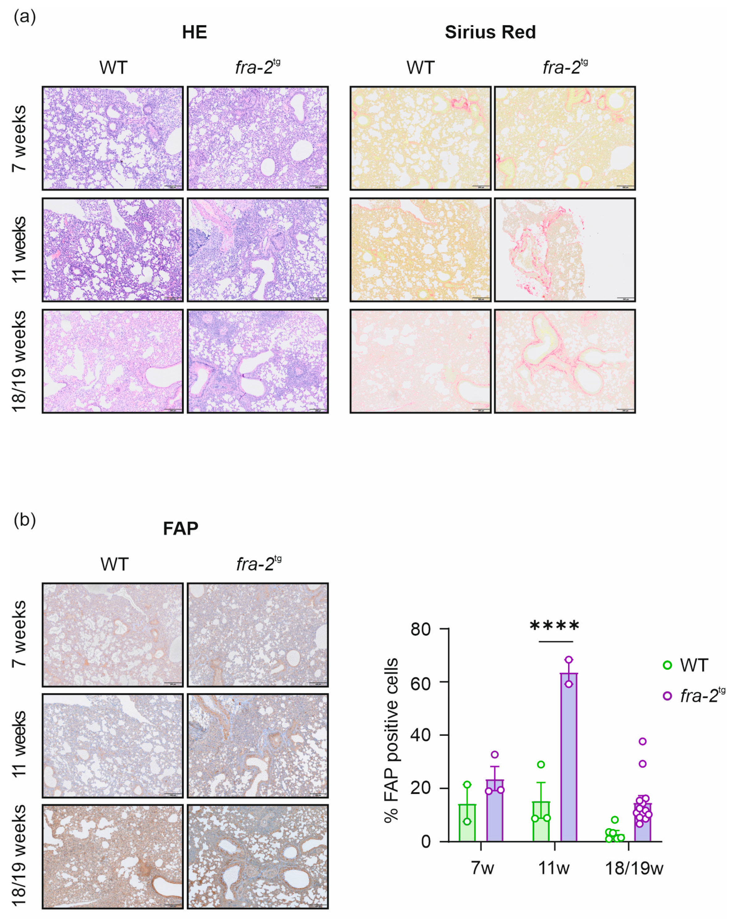 Pharmaceuticals 19 00034 g004 Pharmaceuticals 19 00034 g004