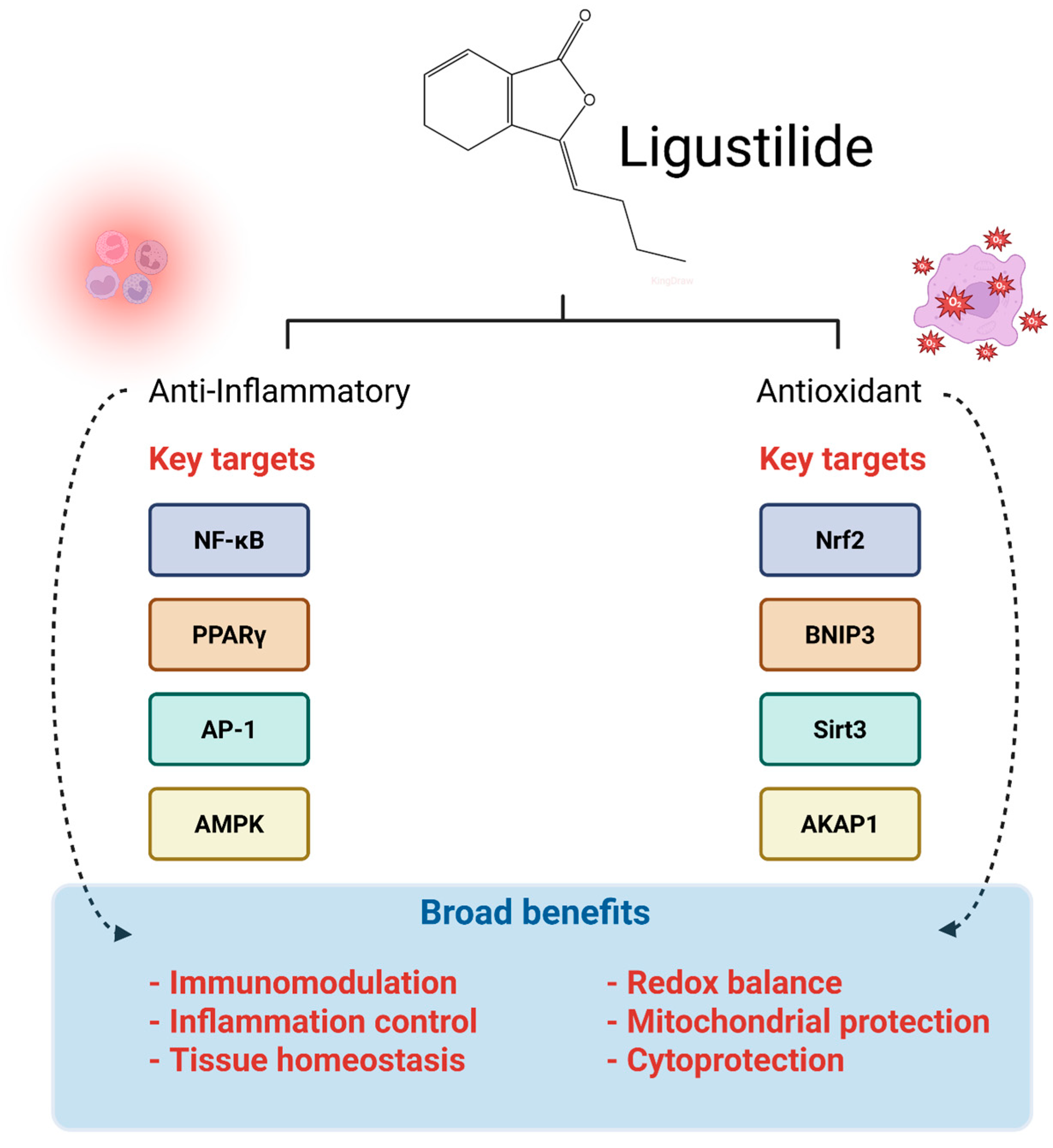 Pharmaceuticals 19 00036 g002