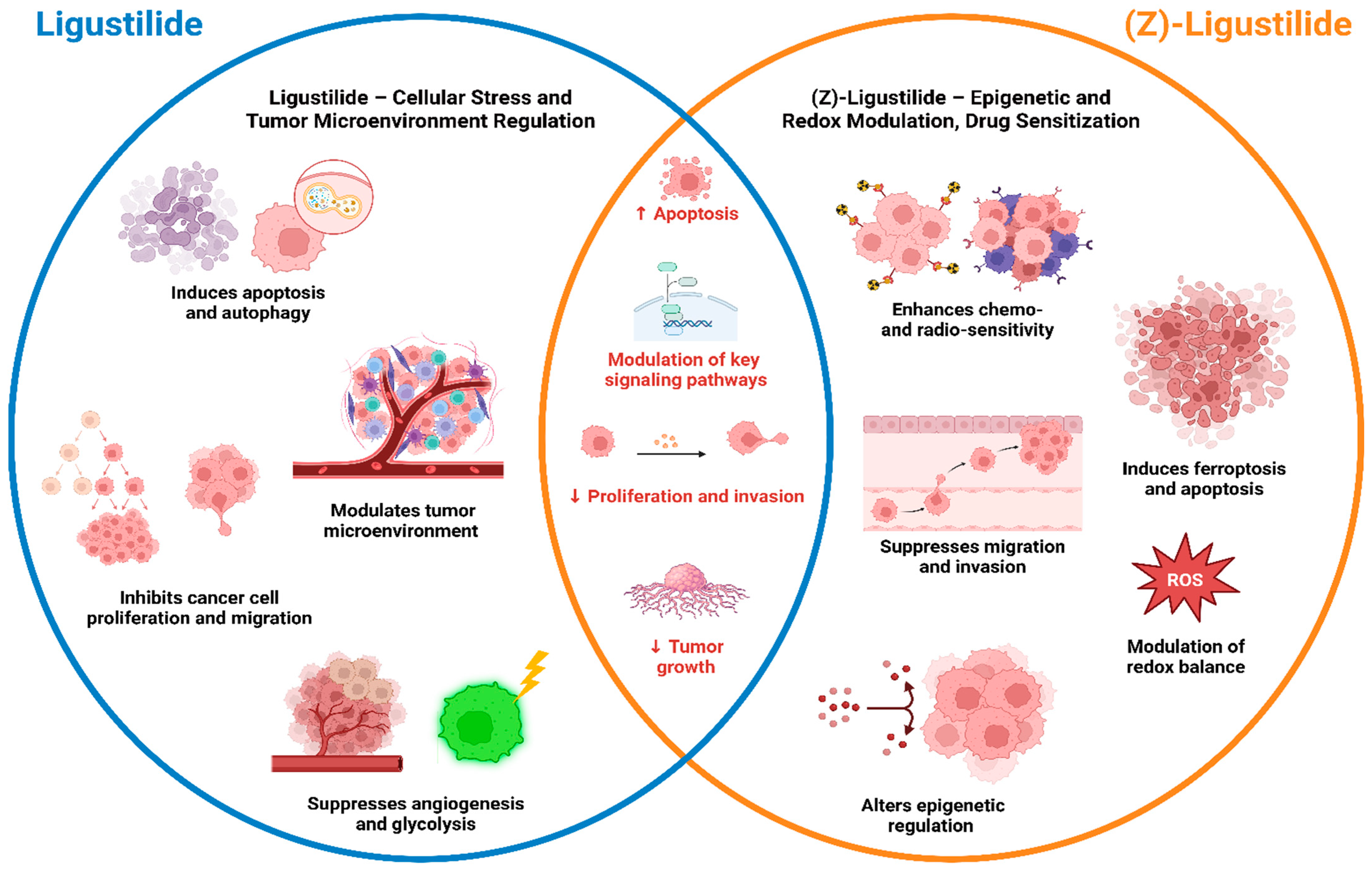 Pharmaceuticals 19 00036 g004