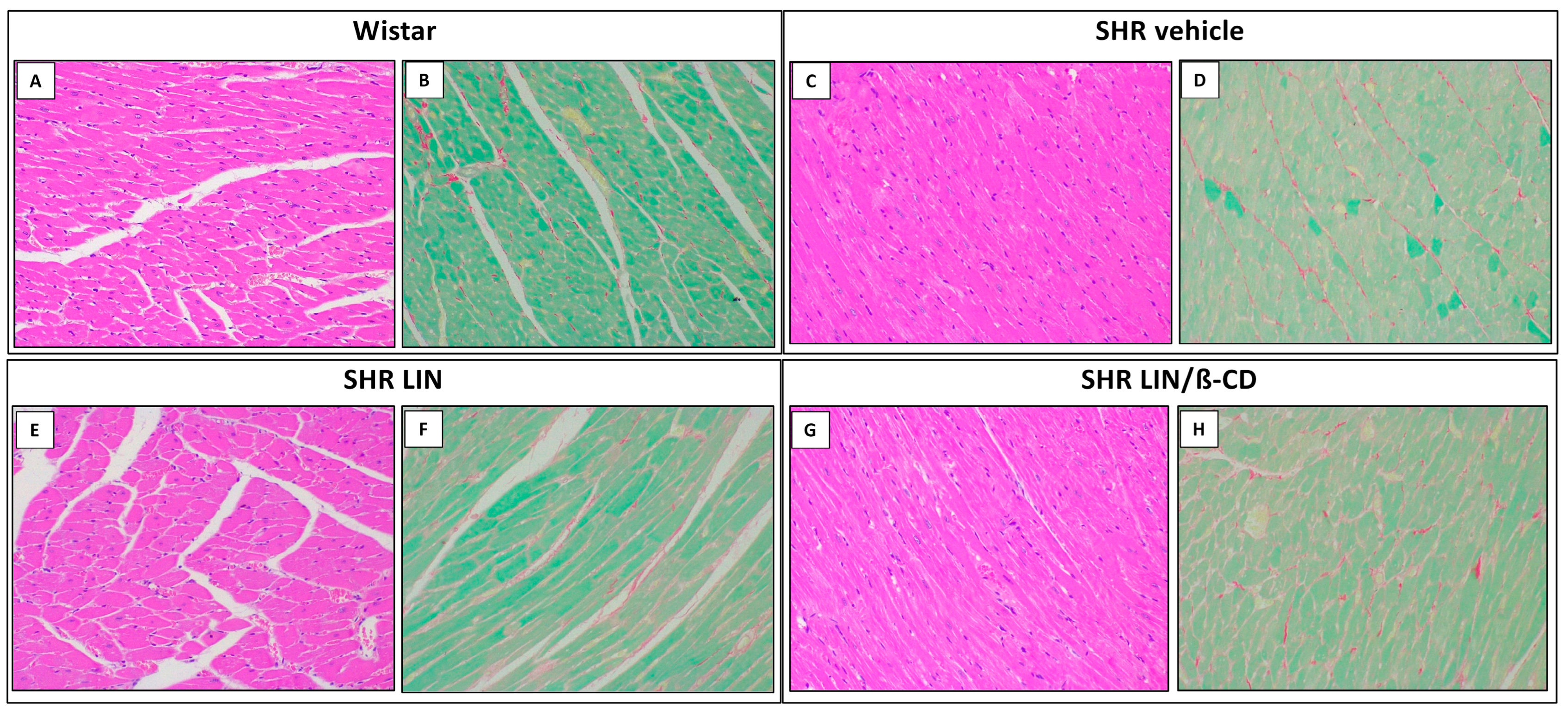 Pharmaceuticals 19 00037 g006