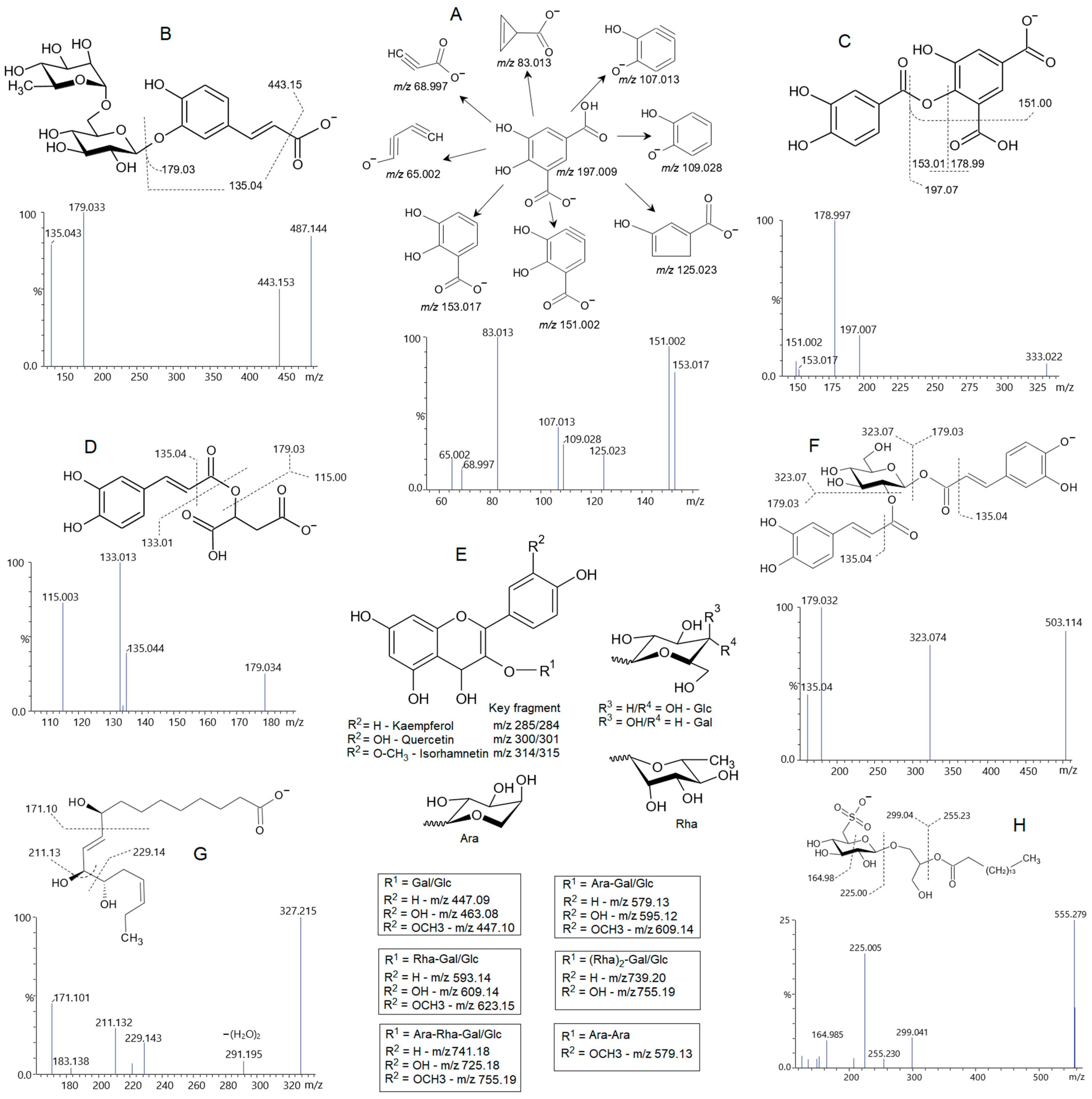 Pharmaceuticals 19 00038 g003