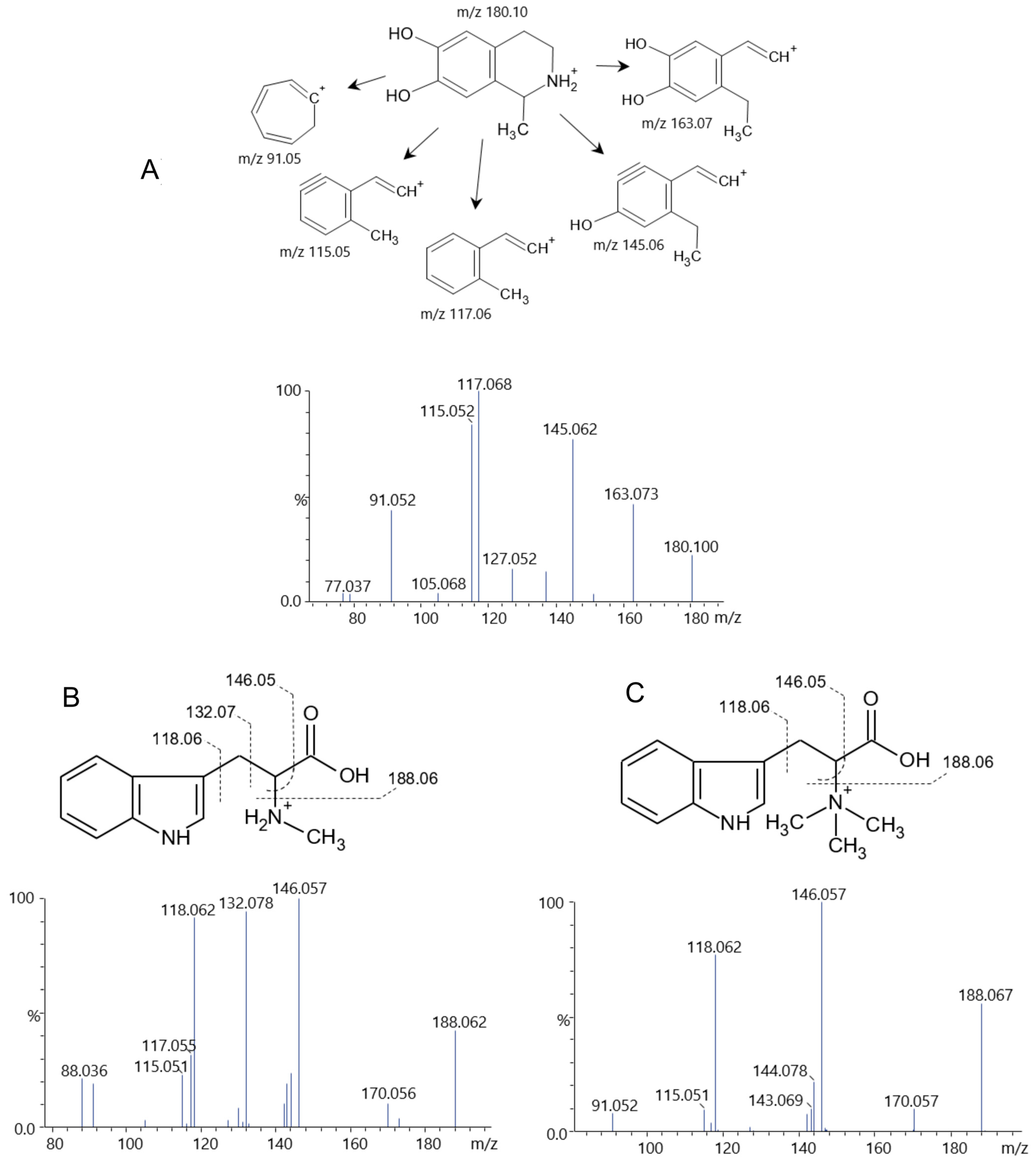 Pharmaceuticals 19 00038 g004