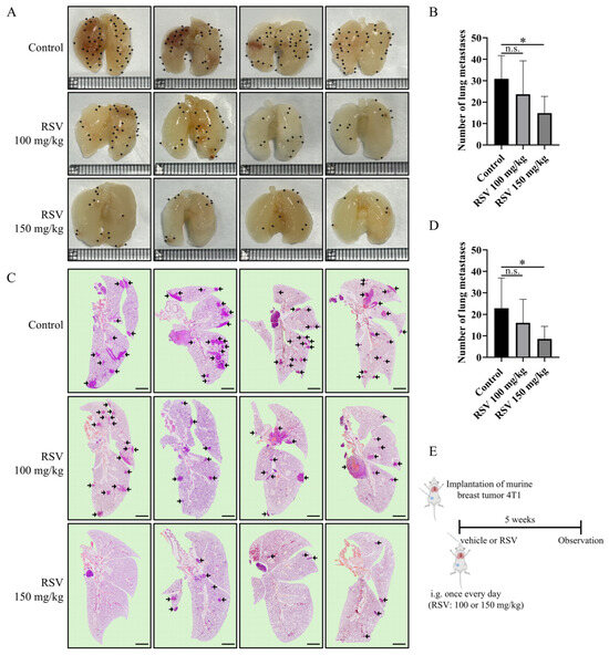Resveratrol Prevents Breast Cancer Metastasis by Inhibiting Wnt/β ...