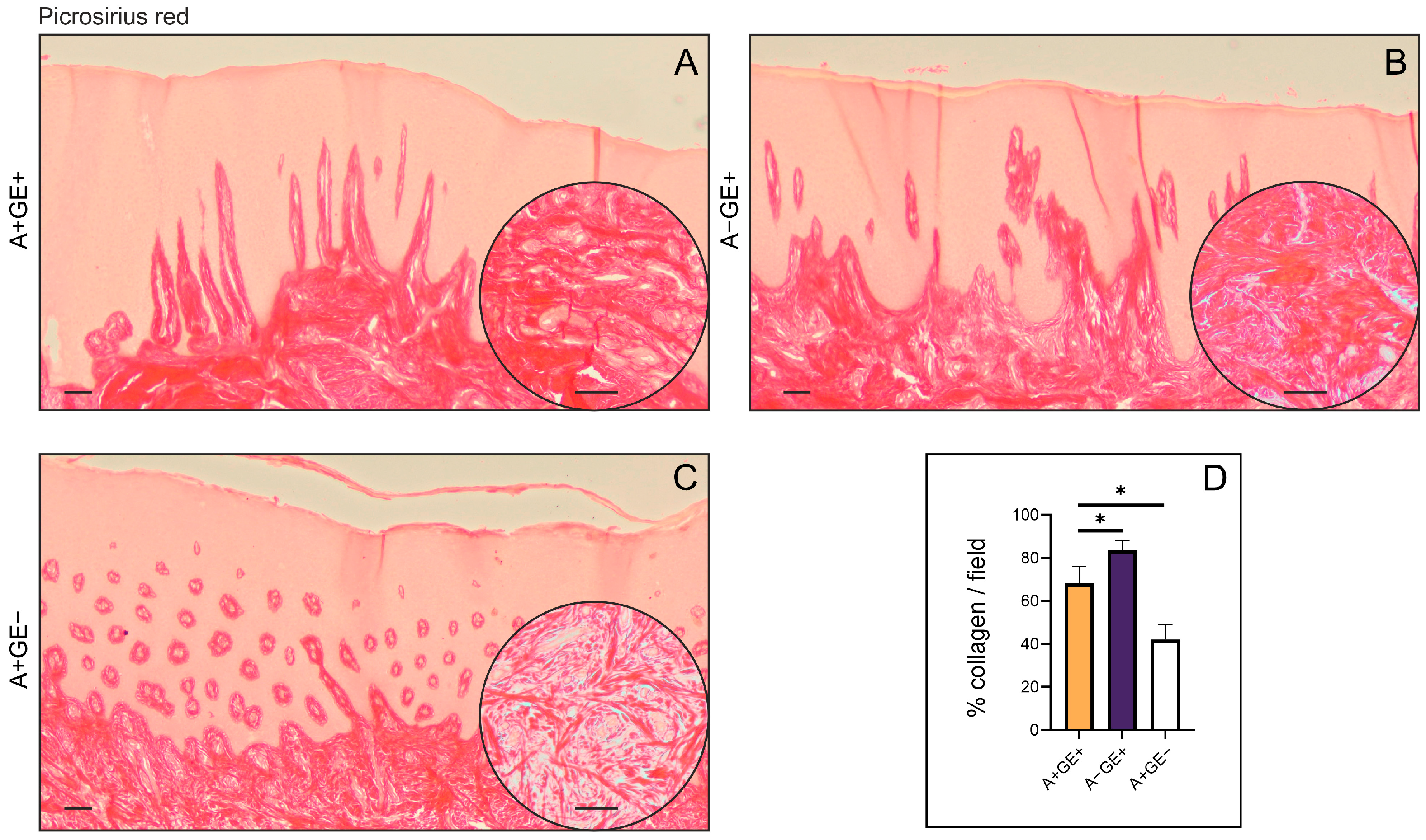 Pharmaceuticals 19 00045 g002