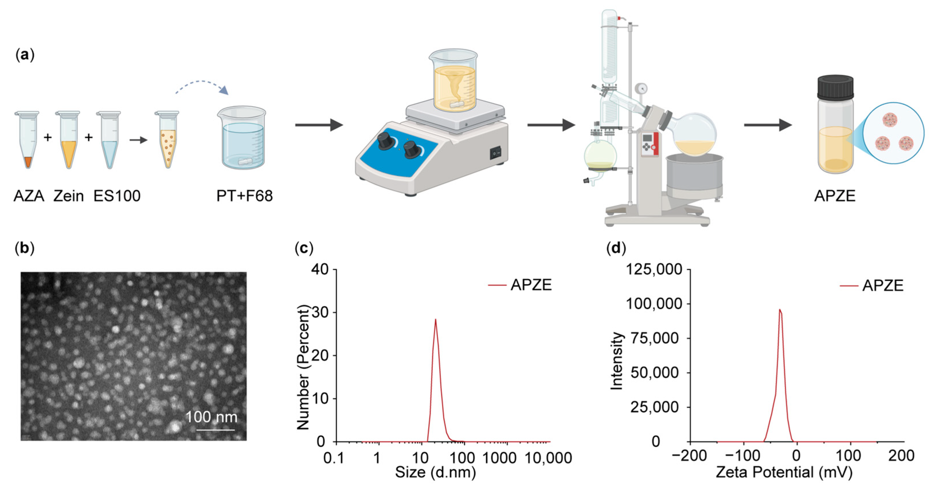 Pharmaceuticals 19 00058 g003