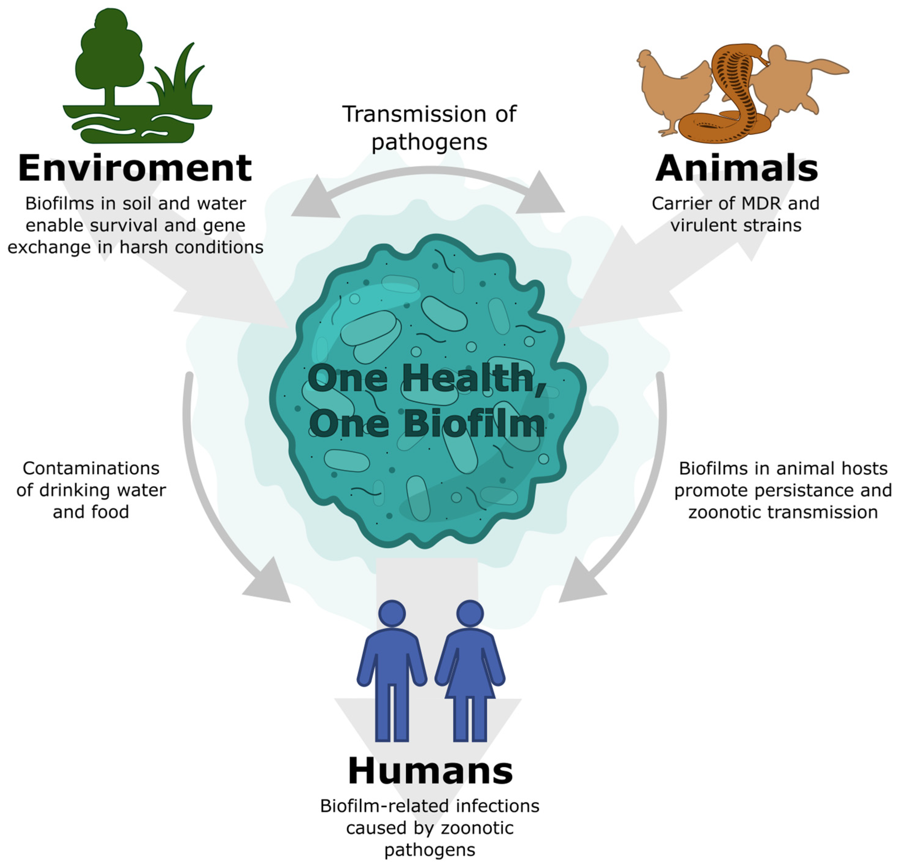 Pharmaceuticals 19 00061 g001
