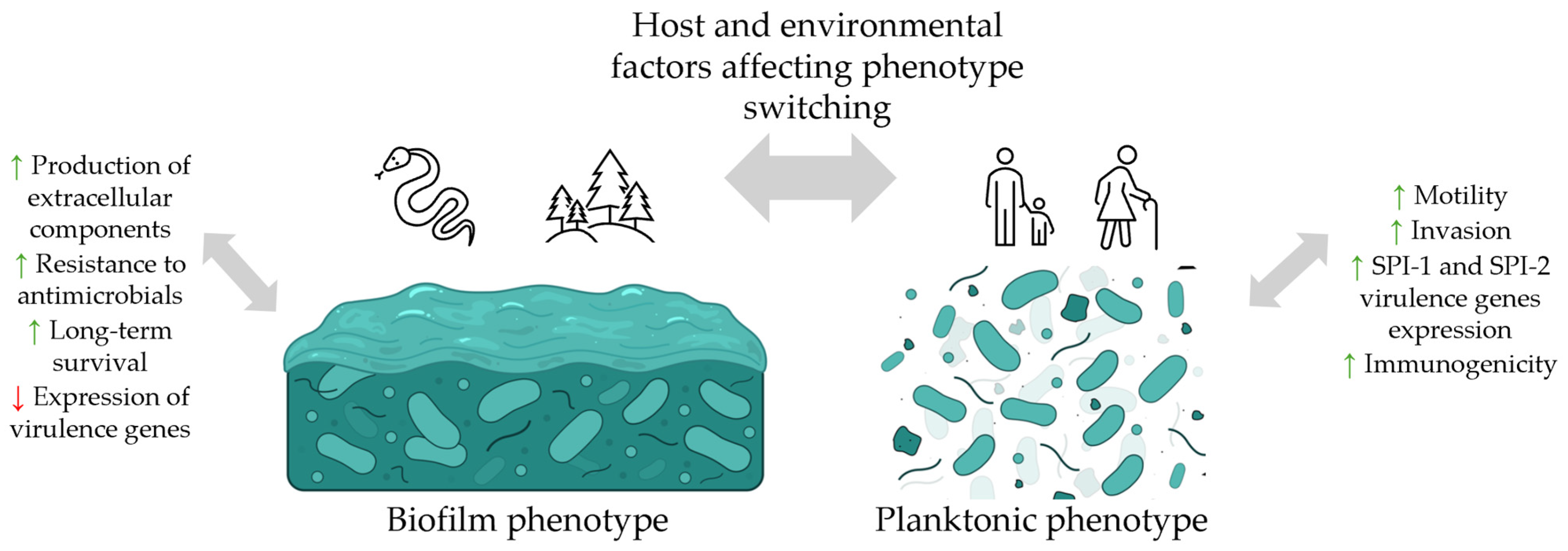 Pharmaceuticals 19 00061 g002