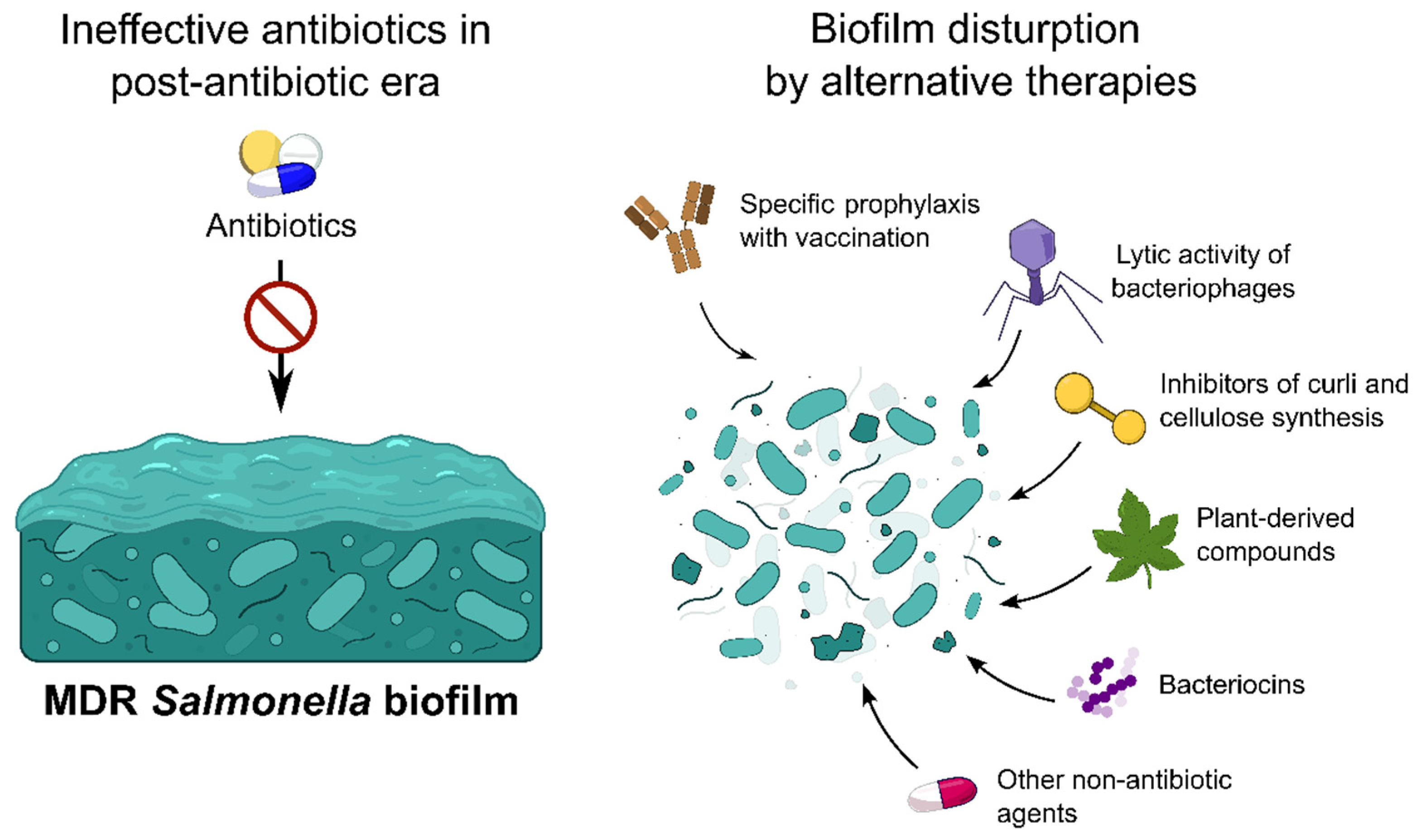 Pharmaceuticals 19 00061 g003
