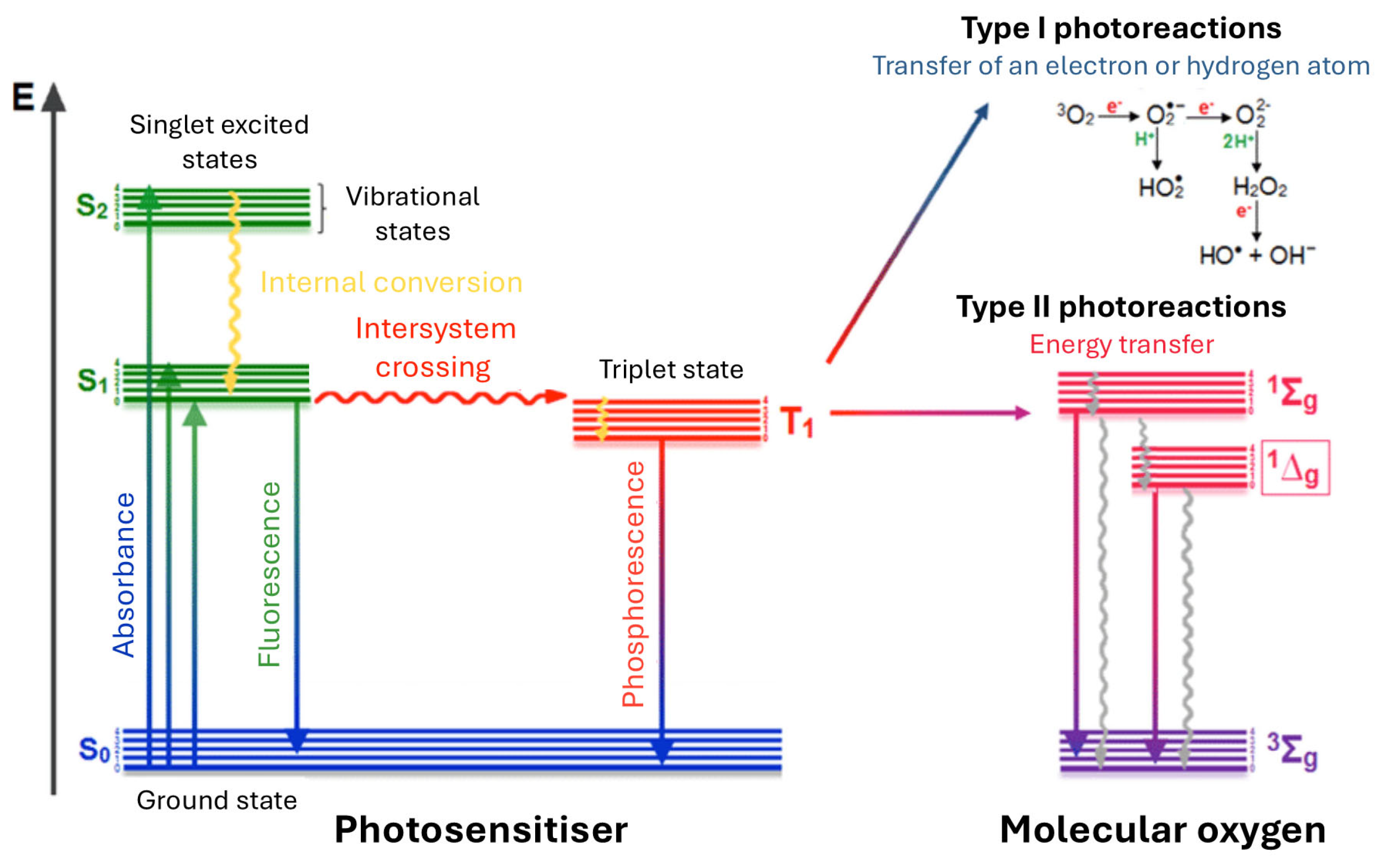 Pharmaceuticals 19 00065 g002