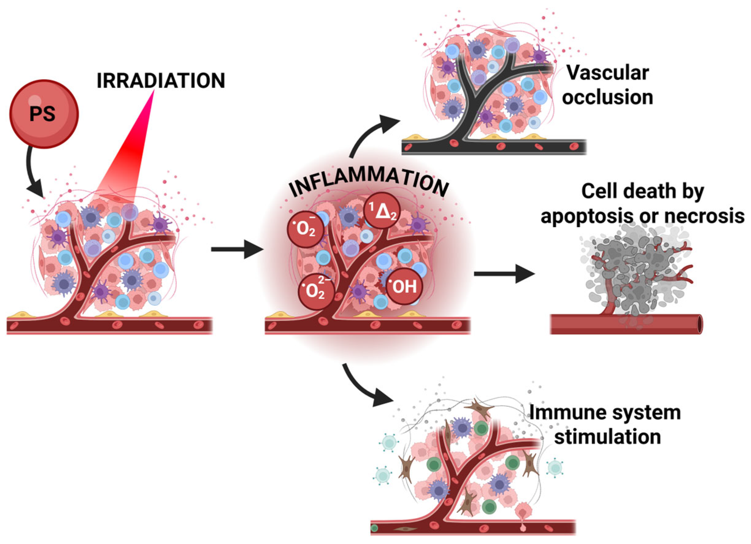 Pharmaceuticals 19 00065 g003