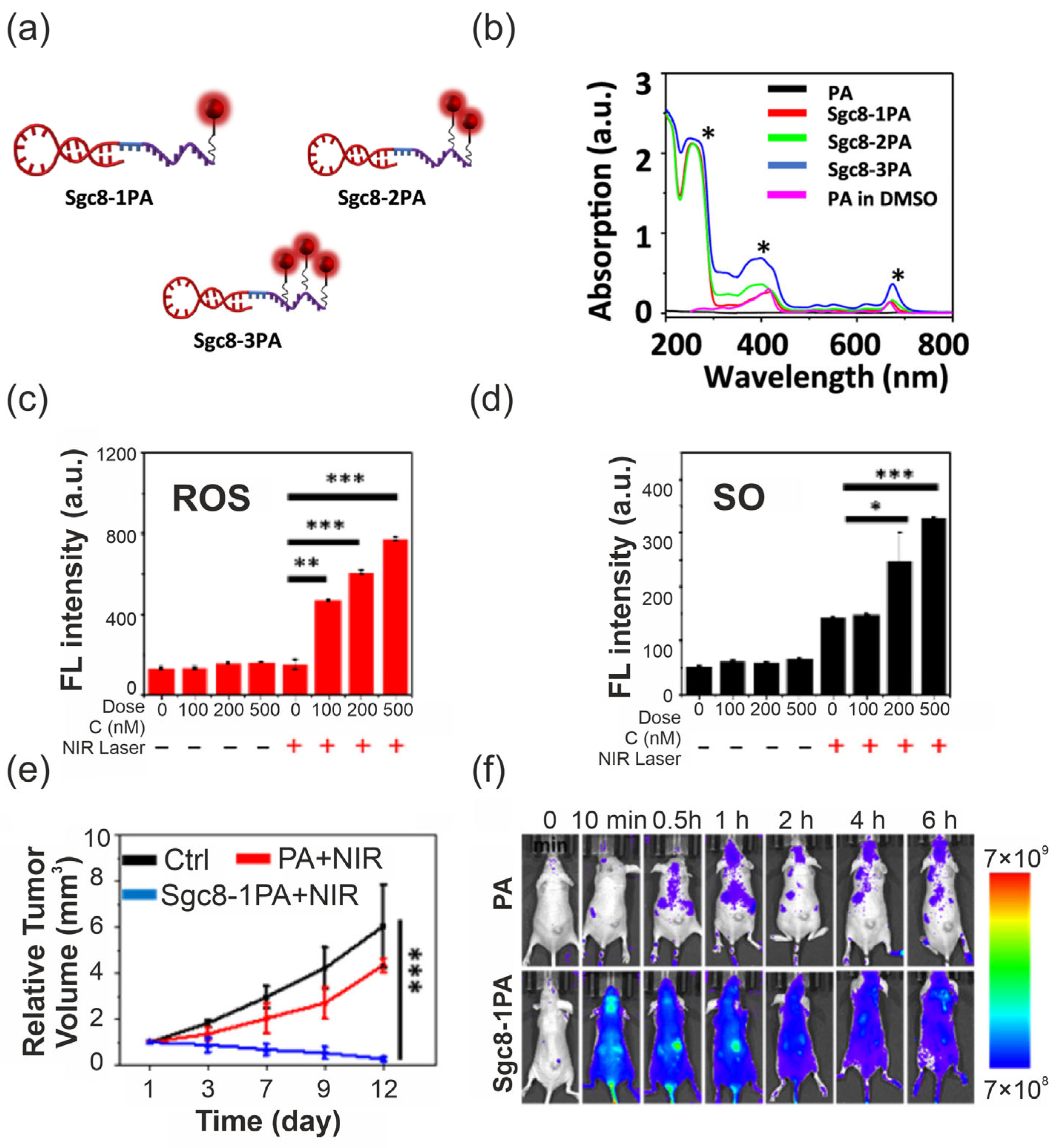 Pharmaceuticals 19 00065 g008