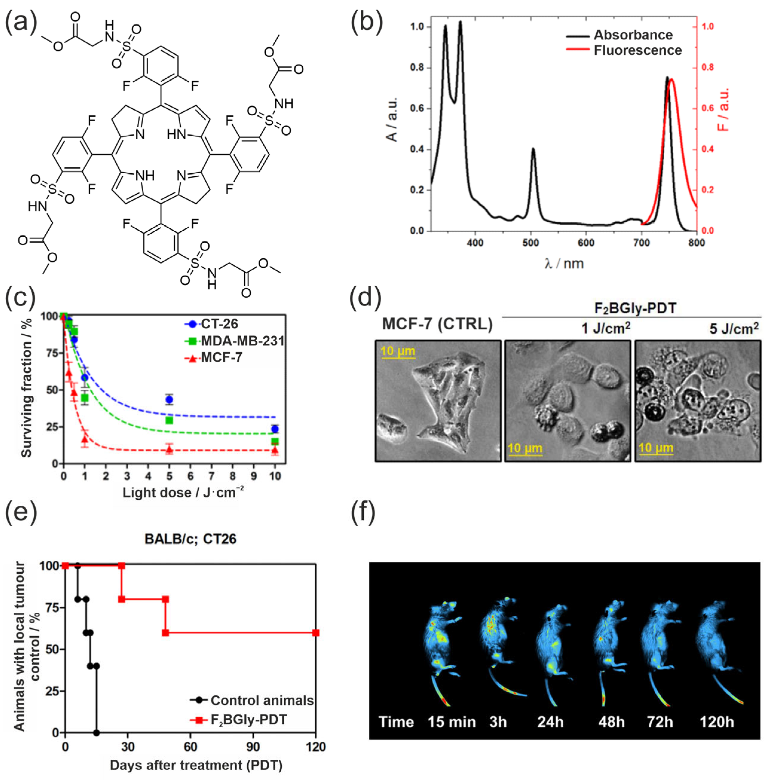 Pharmaceuticals 19 00065 g010