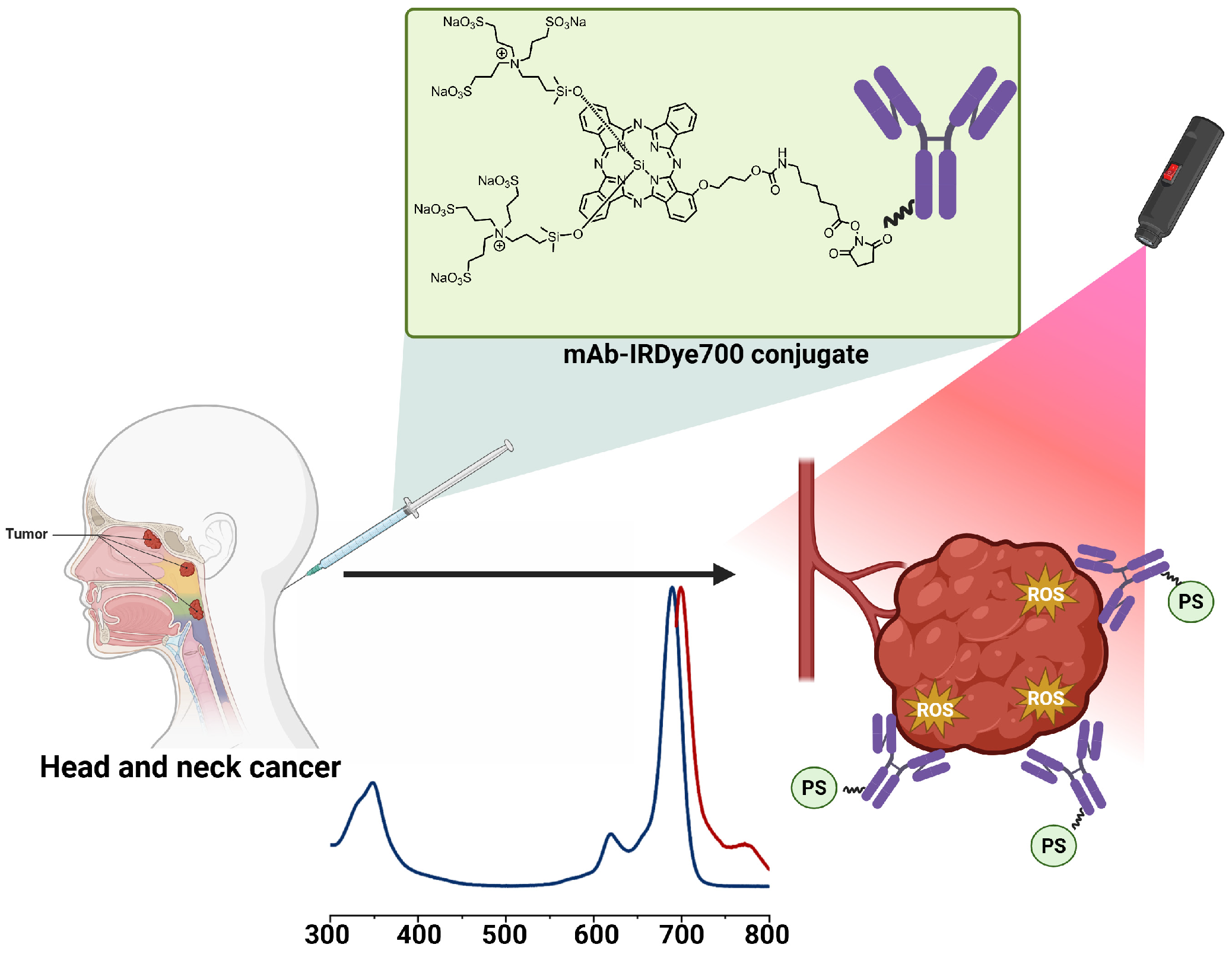 Pharmaceuticals 19 00065 g013