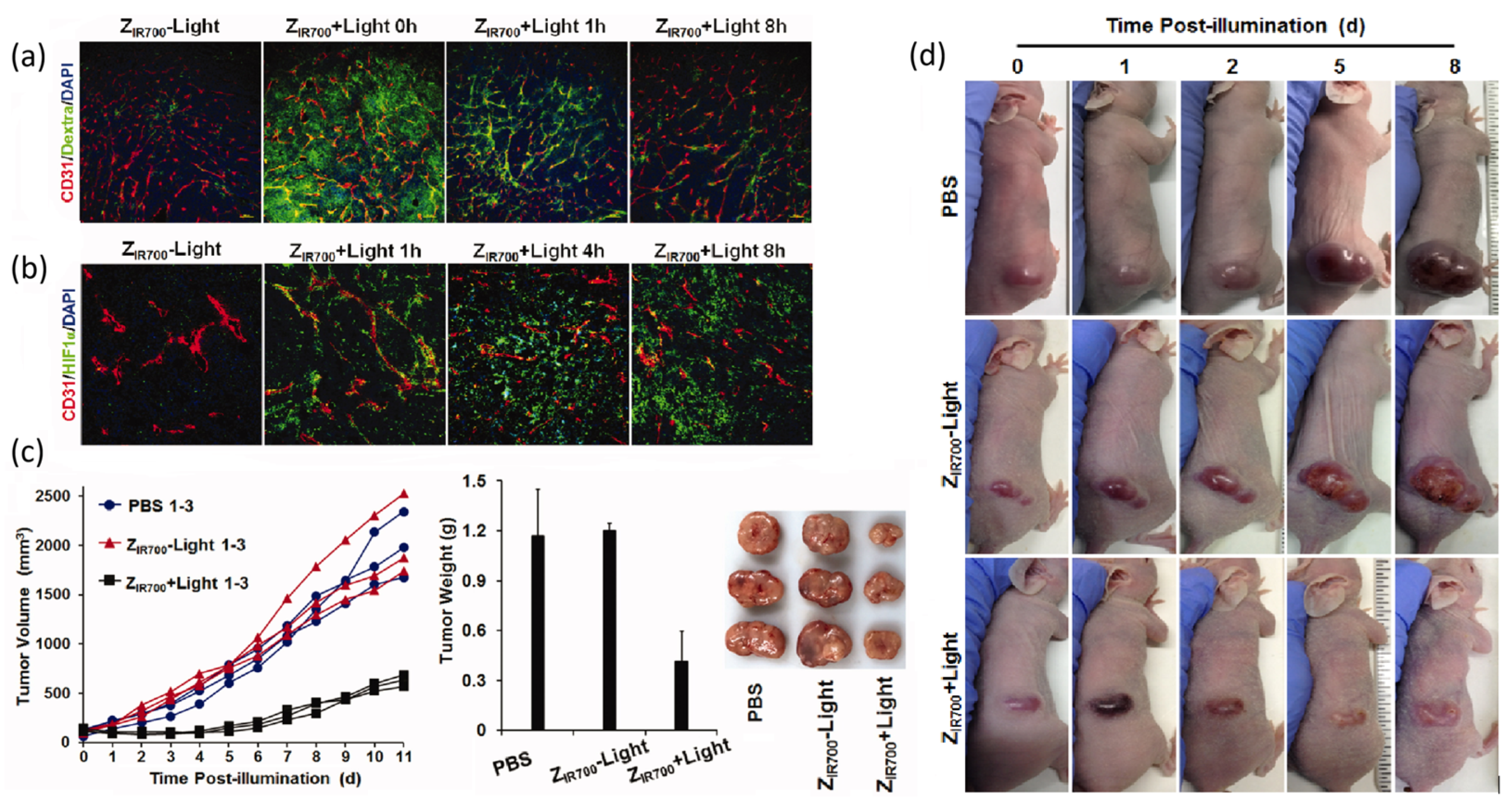 Pharmaceuticals 19 00065 g014