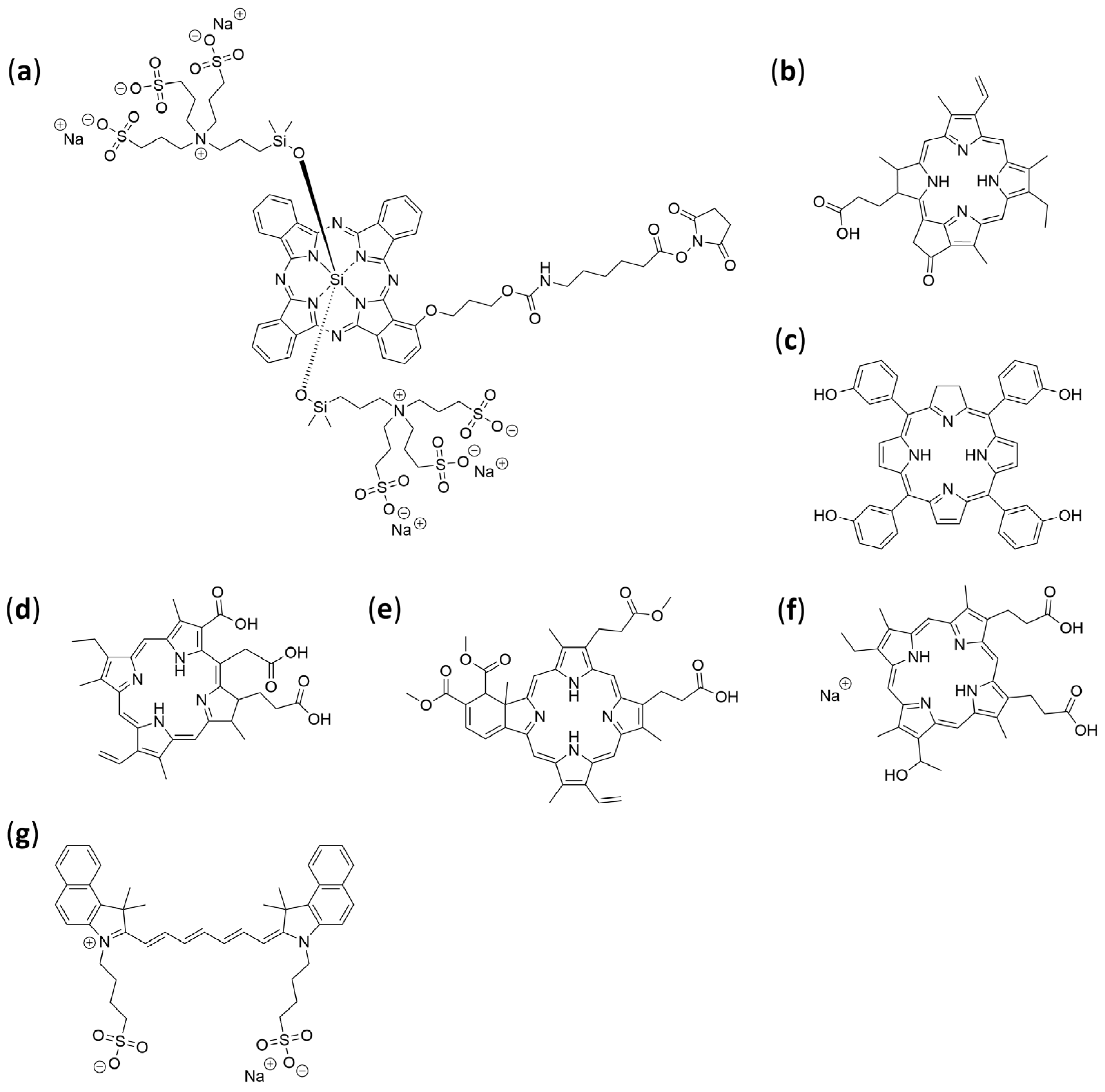 Pharmaceuticals 19 00065 g015