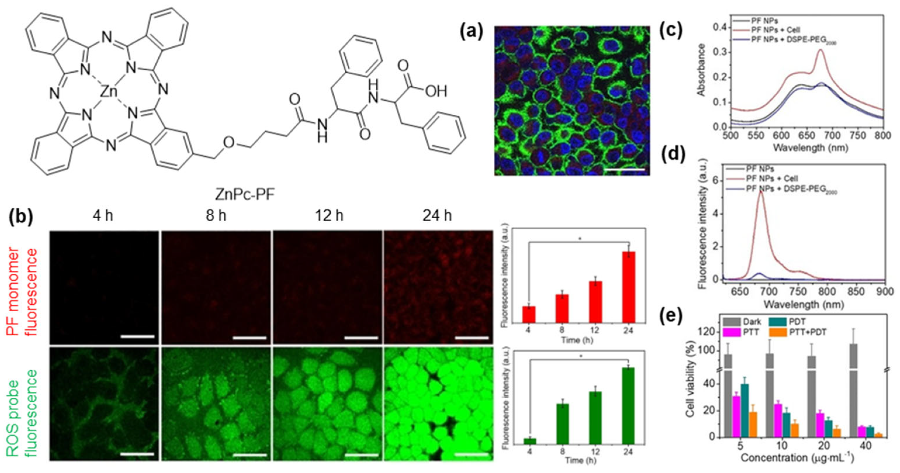 Pharmaceuticals 19 00065 g016