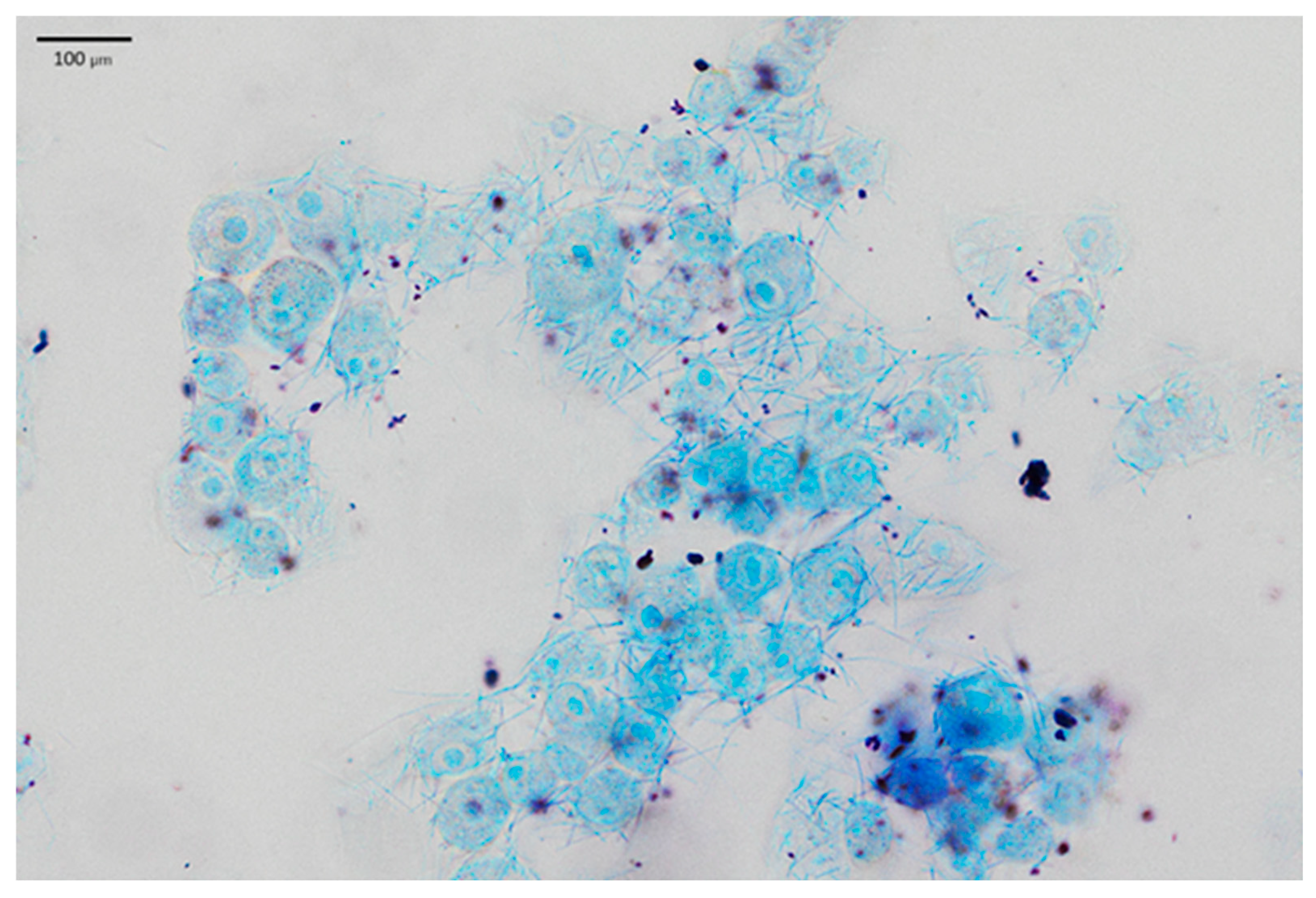 Pharmaceuticals 19 00066 g004 Pharmaceuticals 19 00066 g004