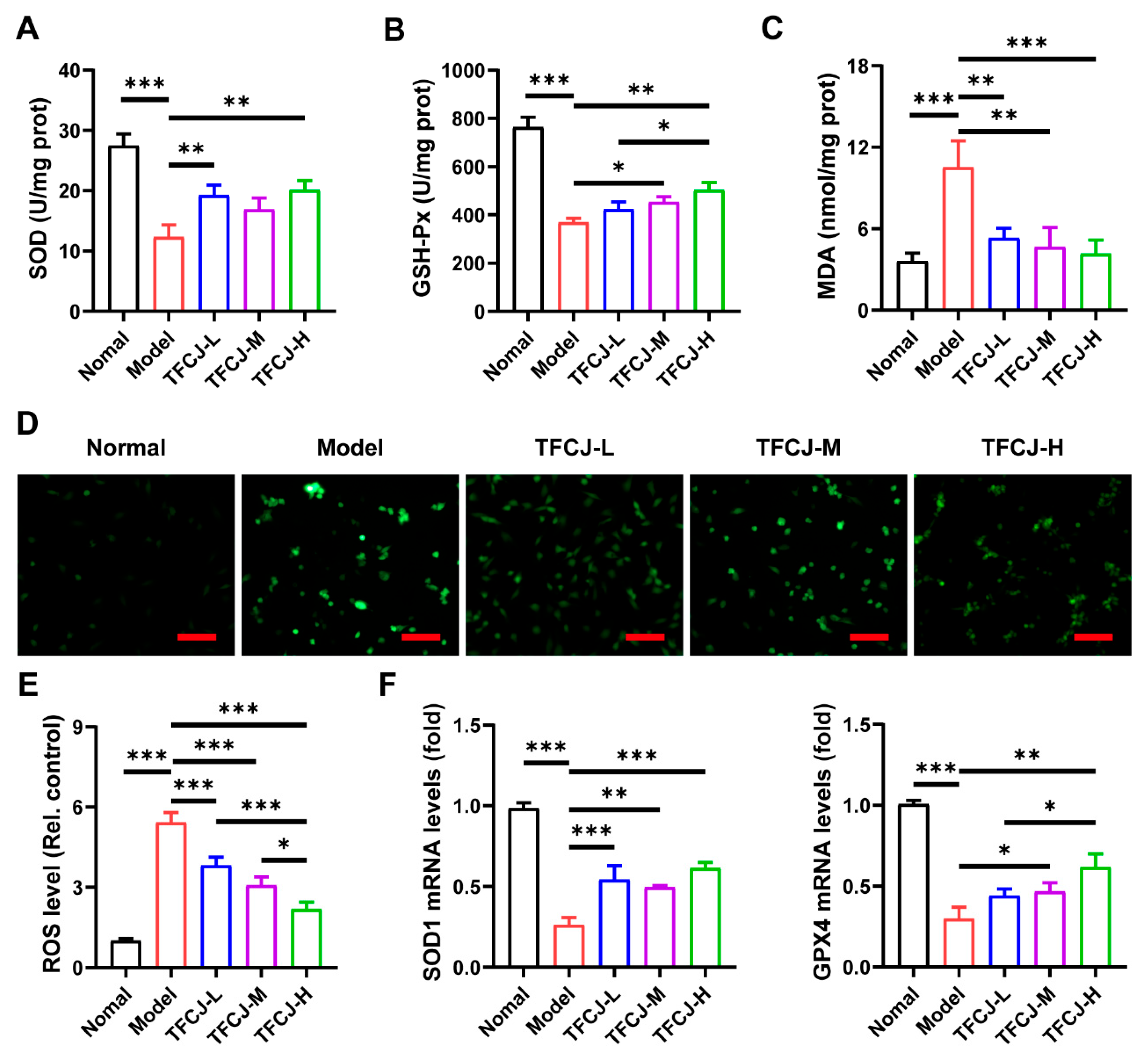 Pharmaceuticals 19 00068 g002
