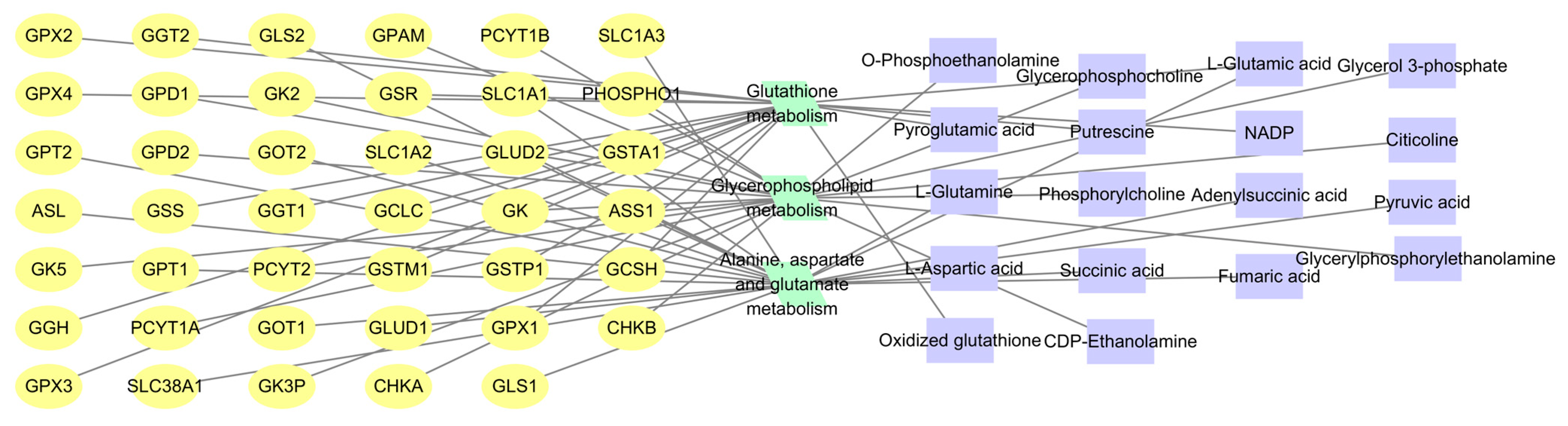 Pharmaceuticals 19 00068 g008