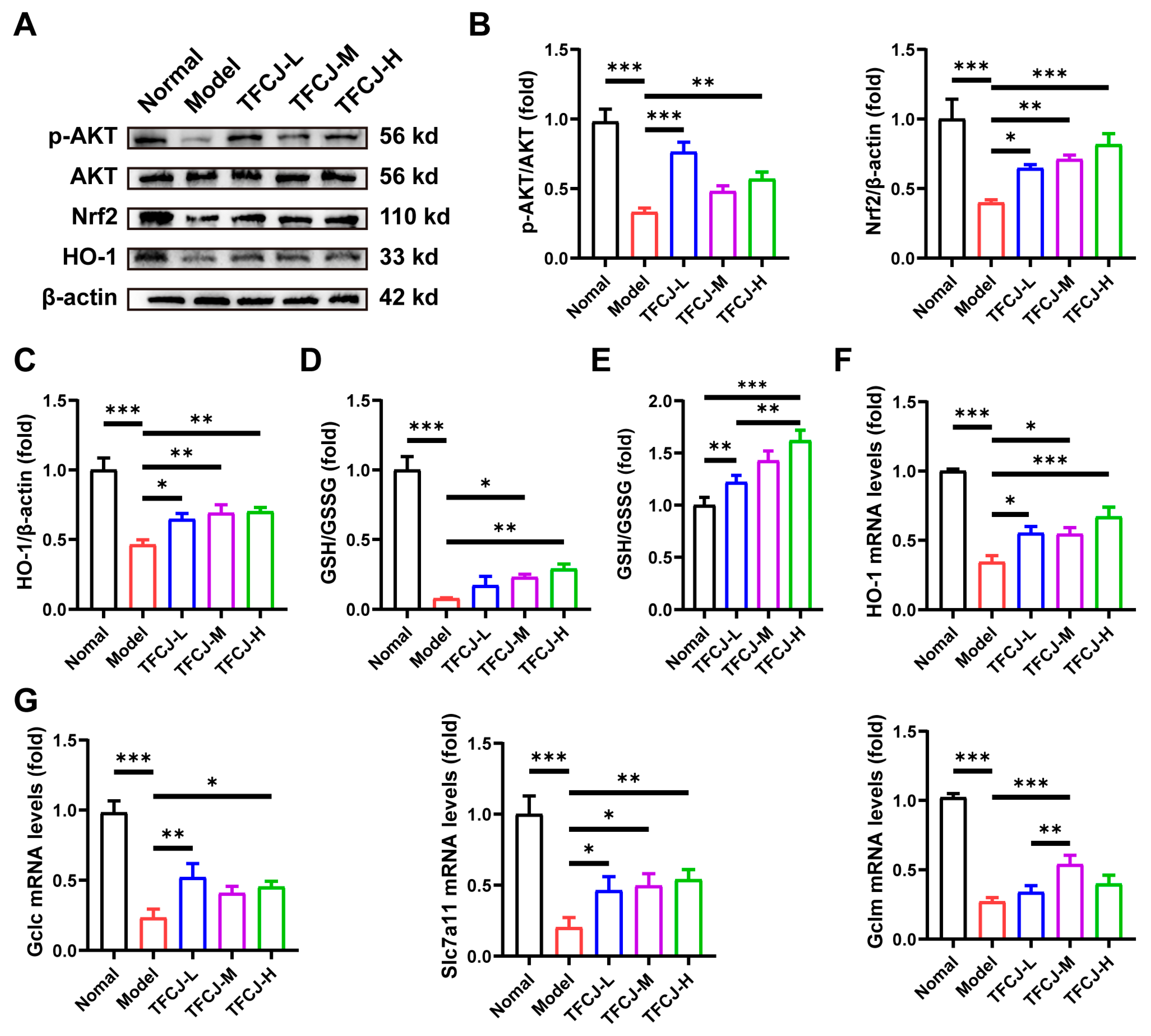 Pharmaceuticals 19 00068 g009