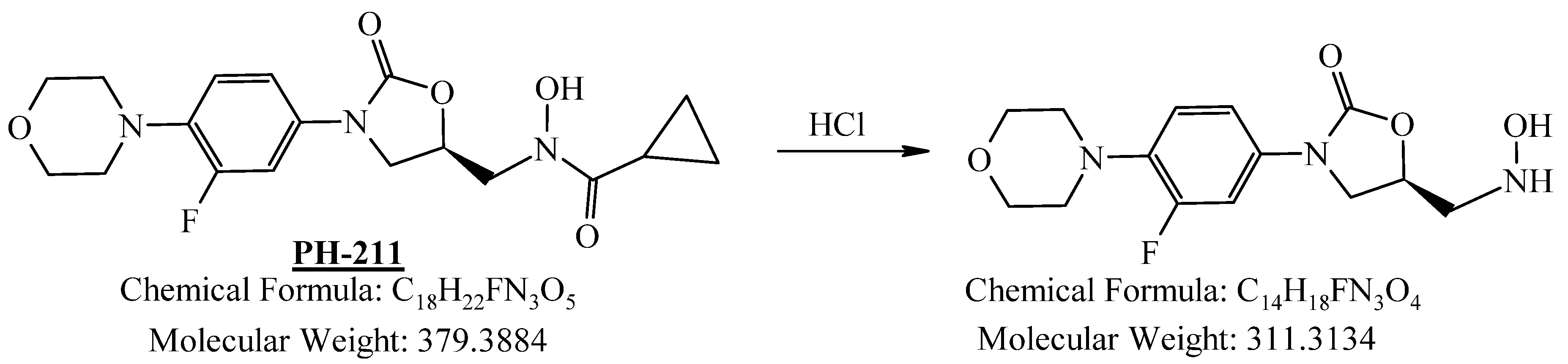 Pharmaceuticals 19 00069 g005