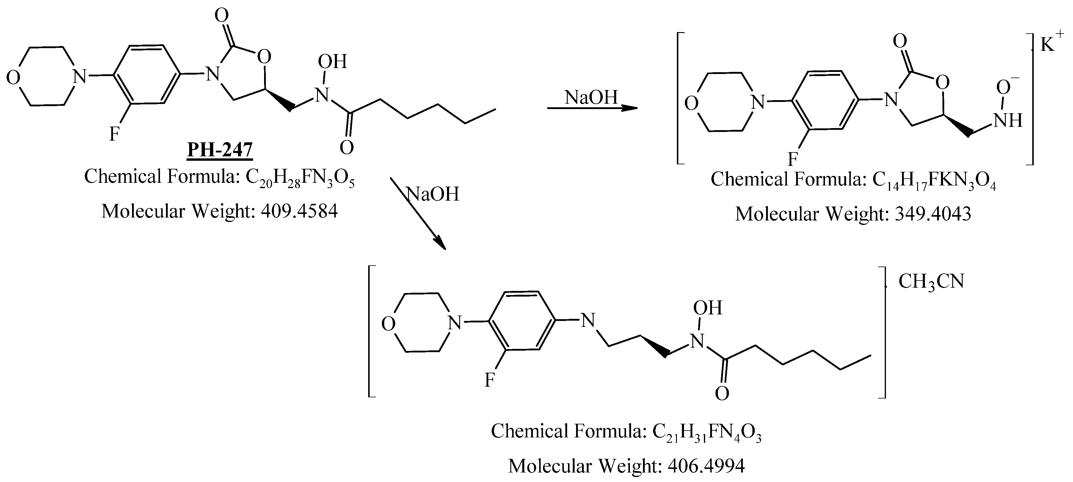 Pharmaceuticals 19 00069 g018