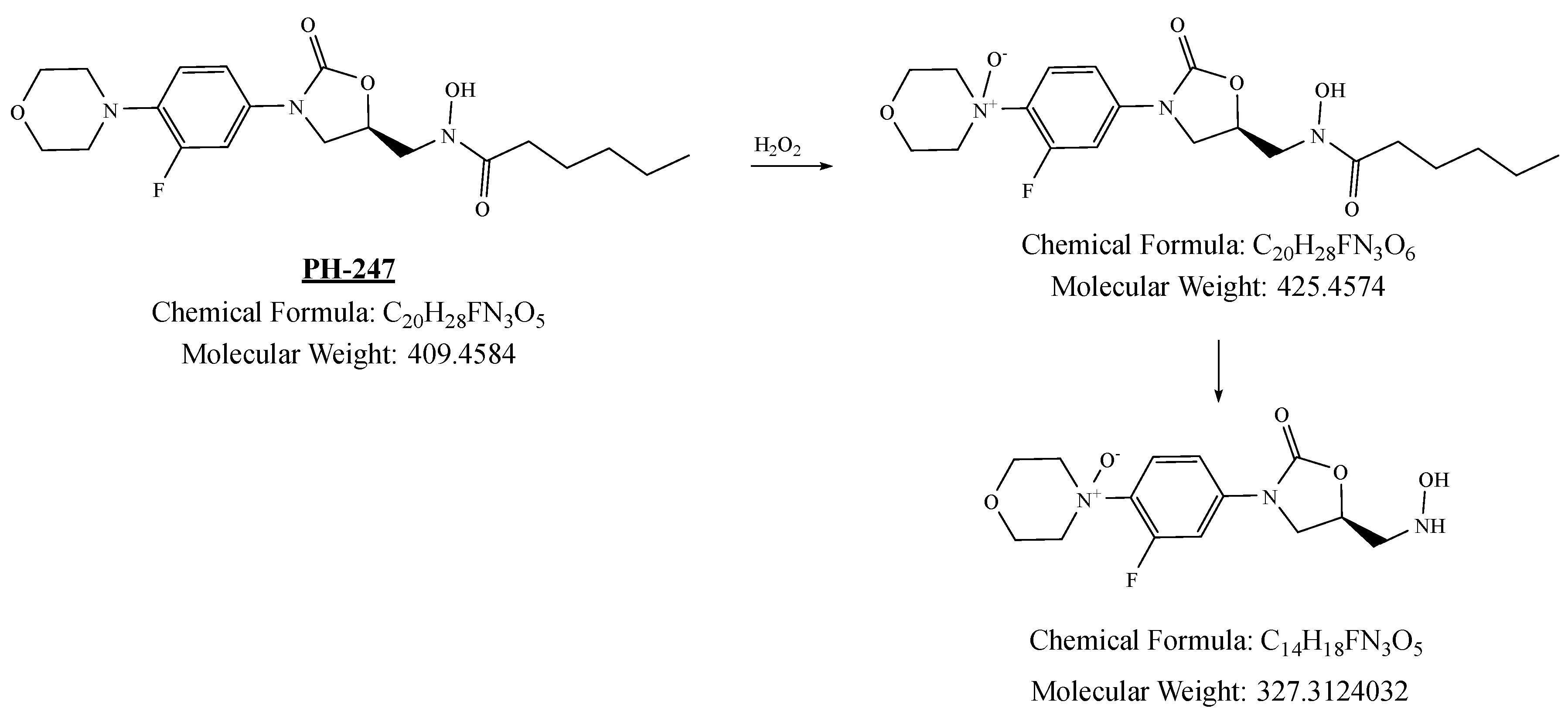 Pharmaceuticals 19 00069 g021