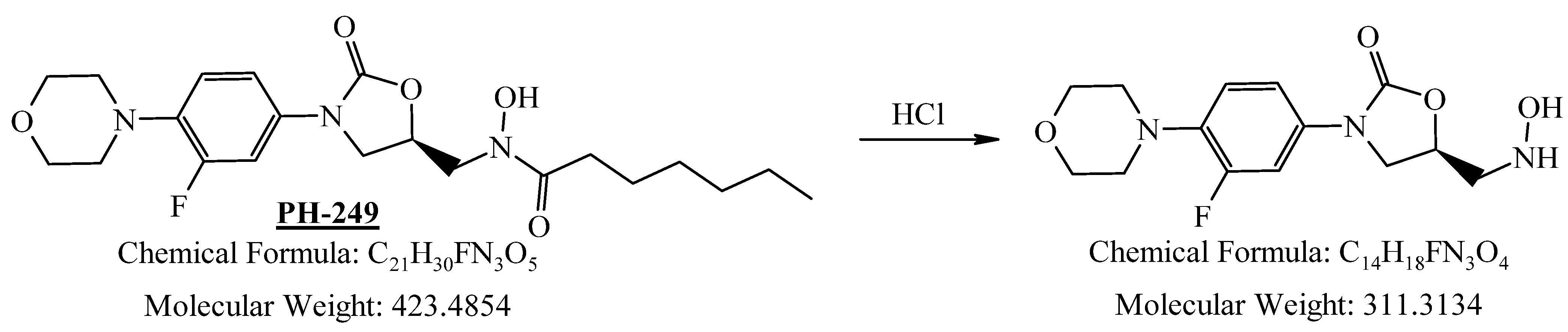 Pharmaceuticals 19 00069 g025