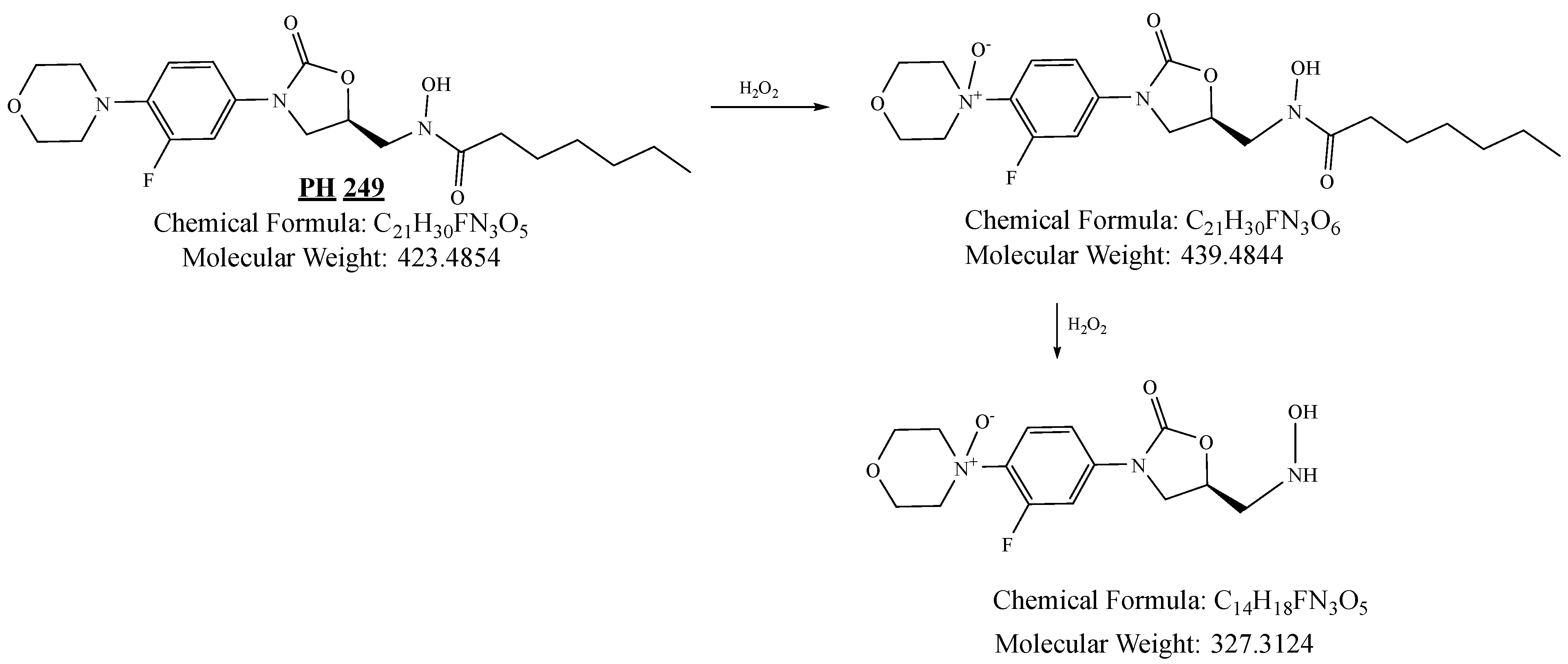 Pharmaceuticals 19 00069 g031