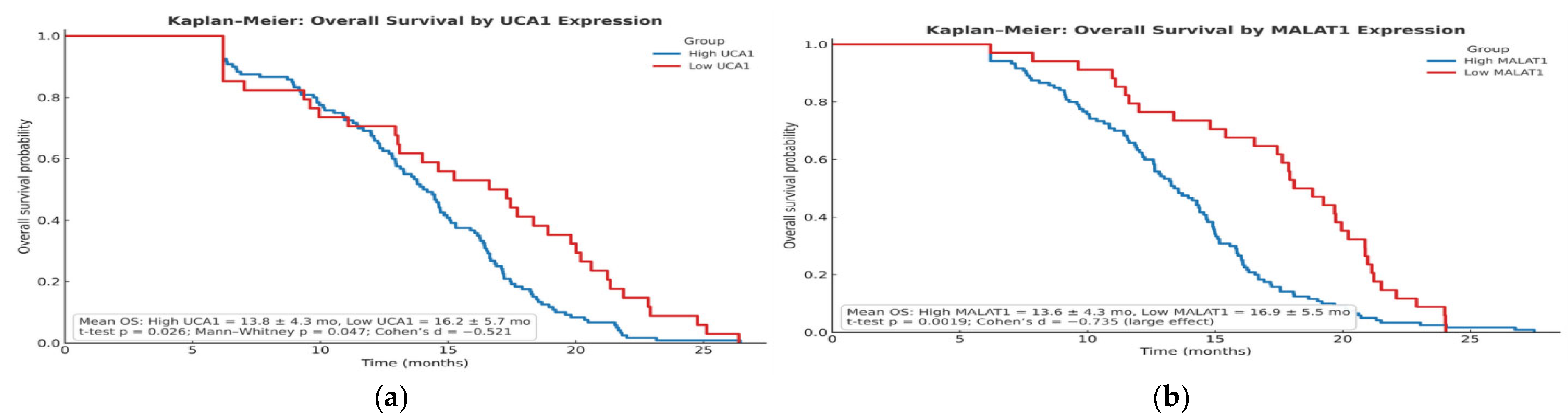 Pharmaceuticals 19 00070 g010