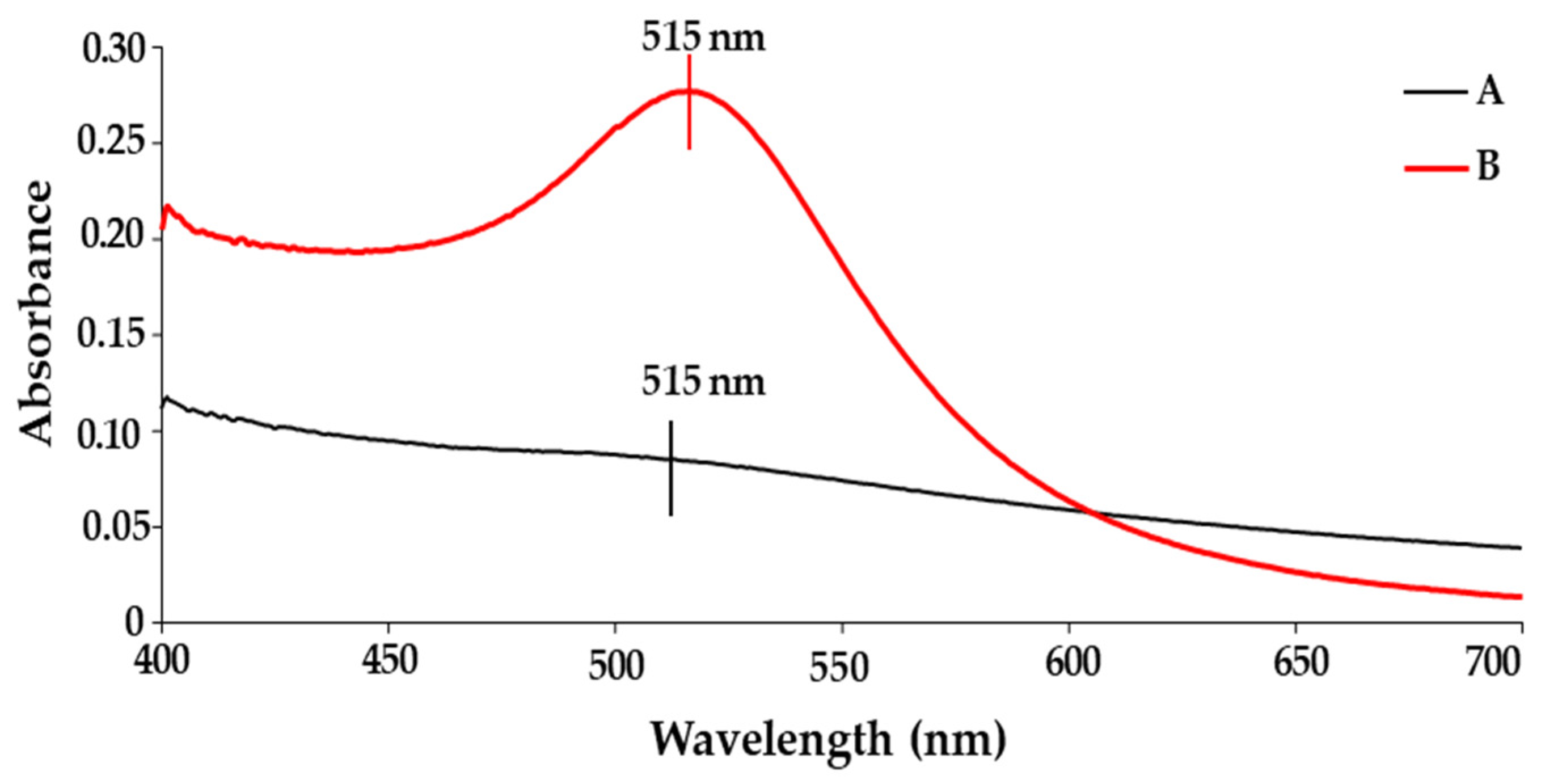Pharmaceuticals 19 00074 g001