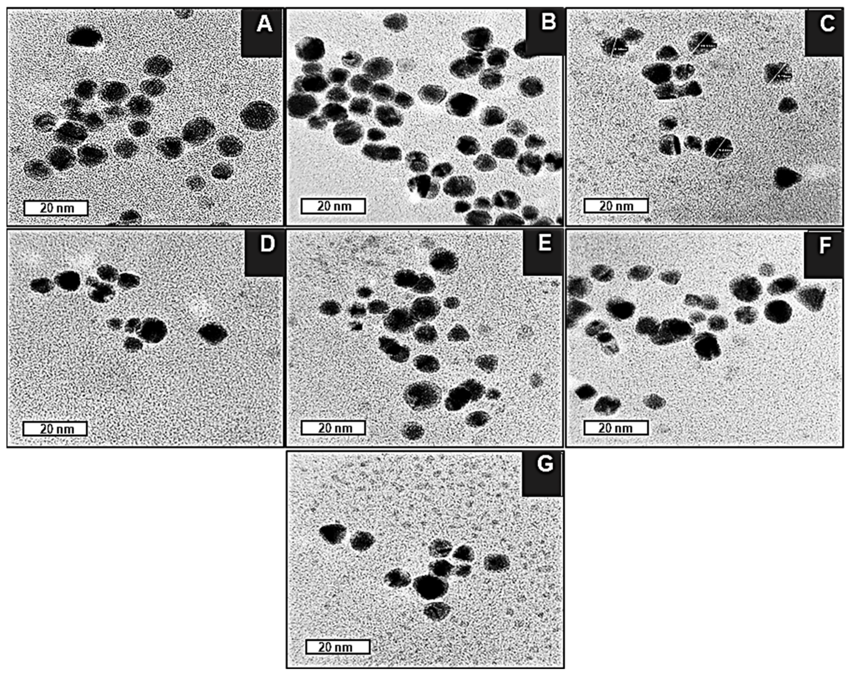 Pharmaceuticals 19 00074 g004
