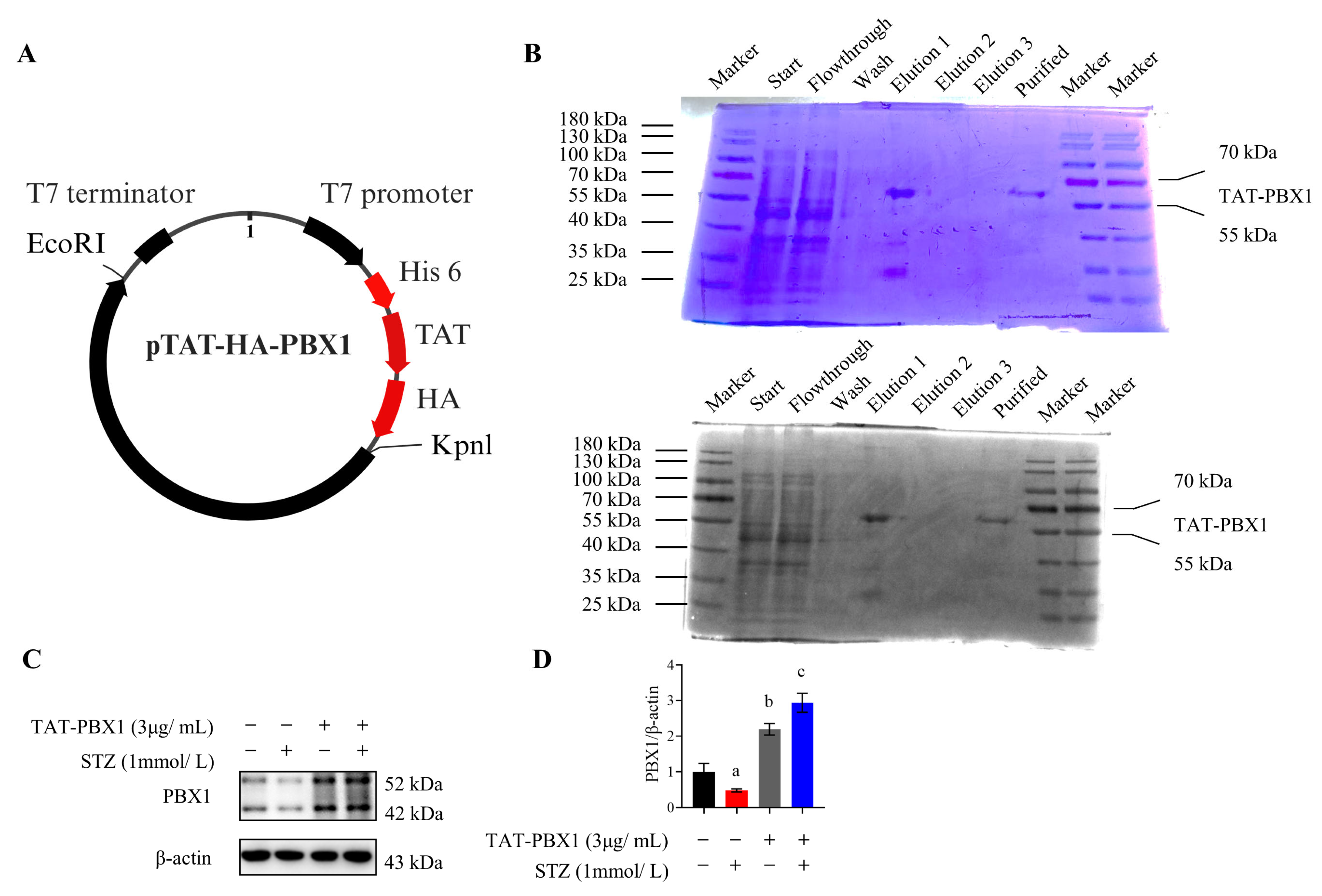 Pharmaceuticals 19 00085 g001 Pharmaceuticals 19 00085 g001
