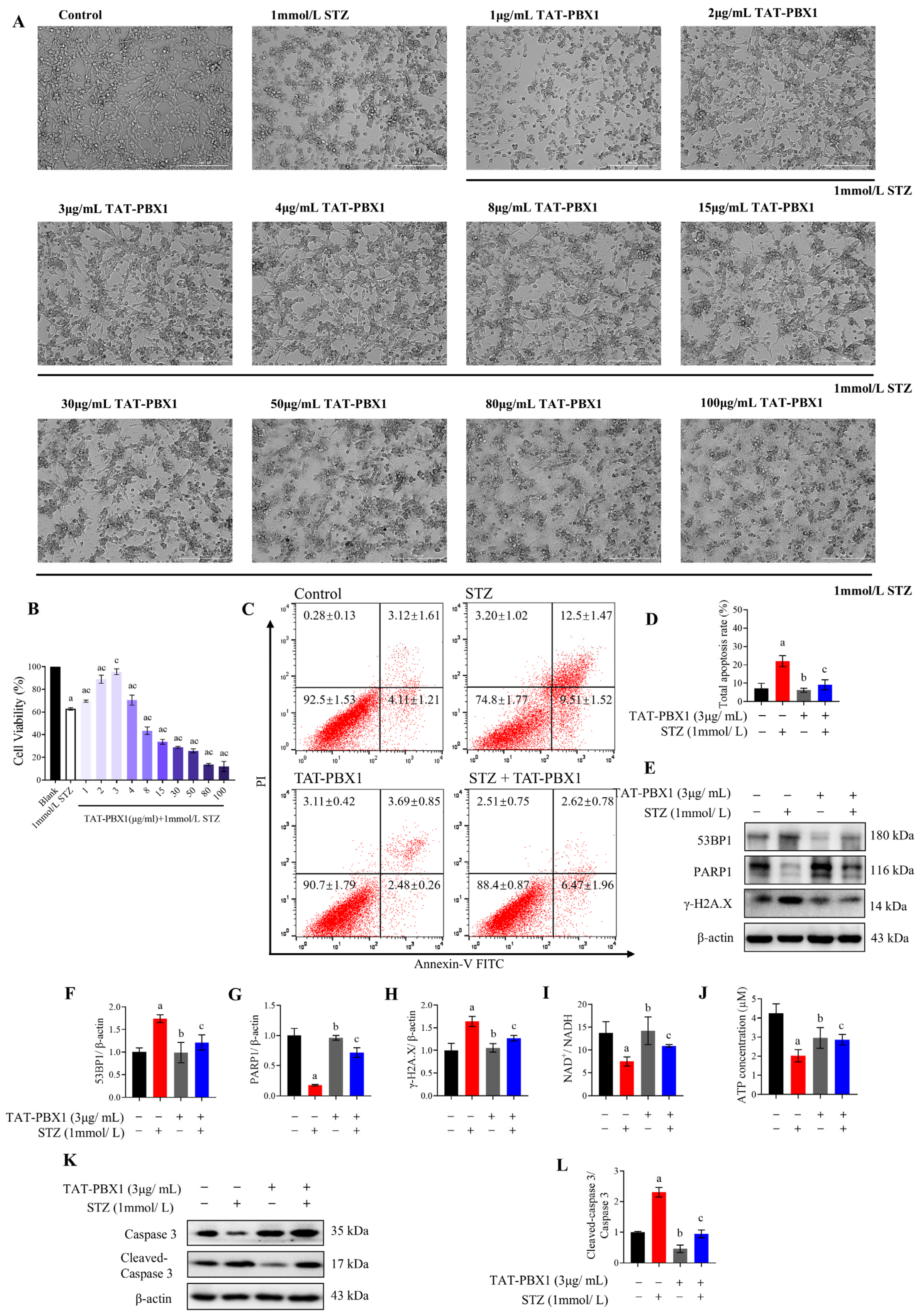 Pharmaceuticals 19 00085 g002 Pharmaceuticals 19 00085 g002