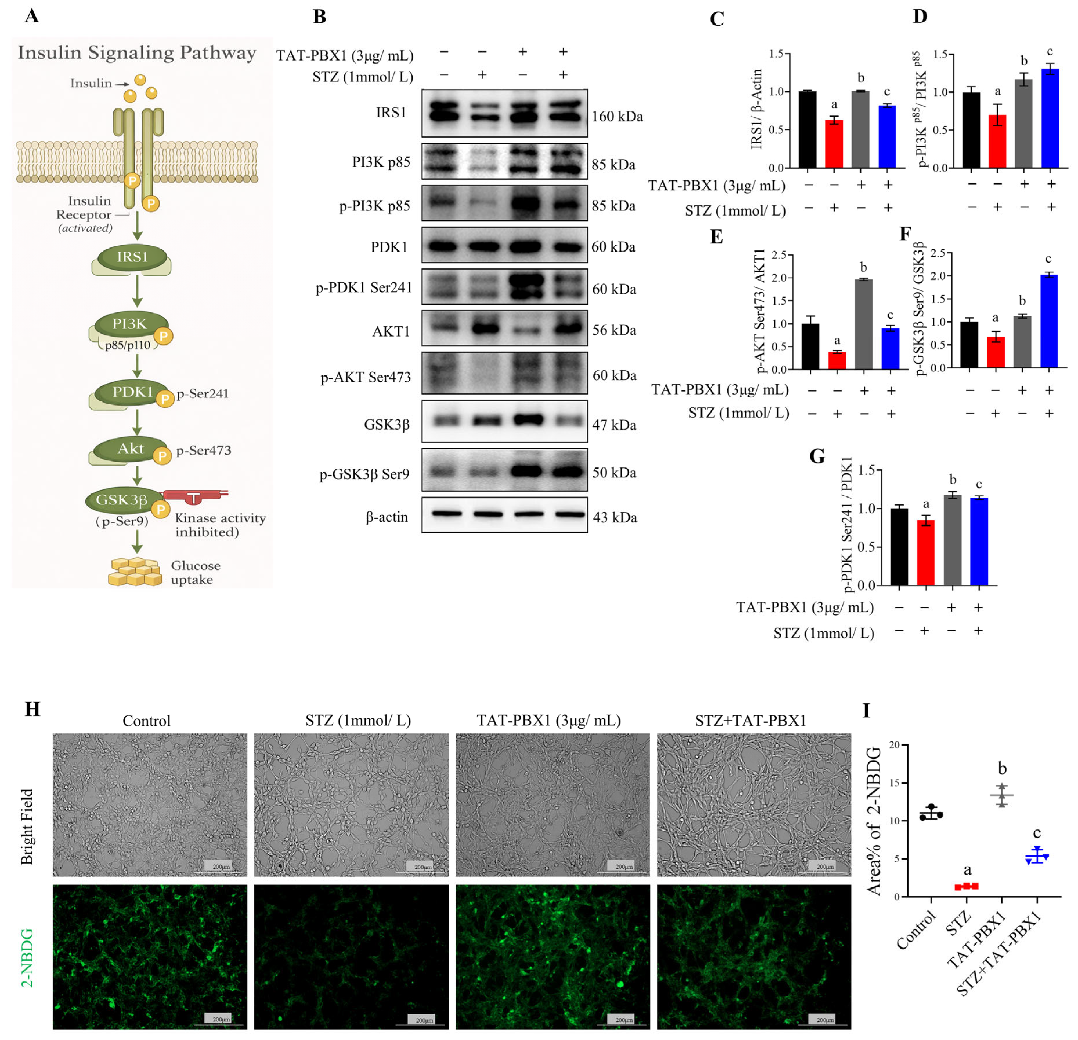 Pharmaceuticals 19 00085 g003 Pharmaceuticals 19 00085 g003