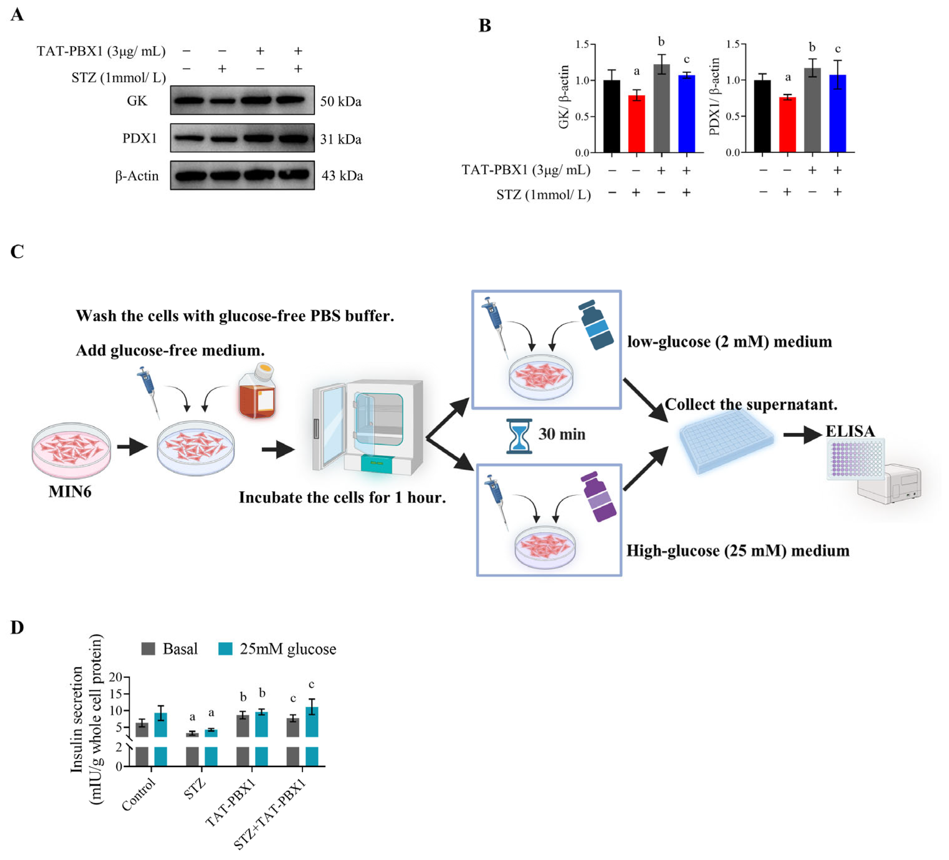 Pharmaceuticals 19 00085 g004 Pharmaceuticals 19 00085 g004