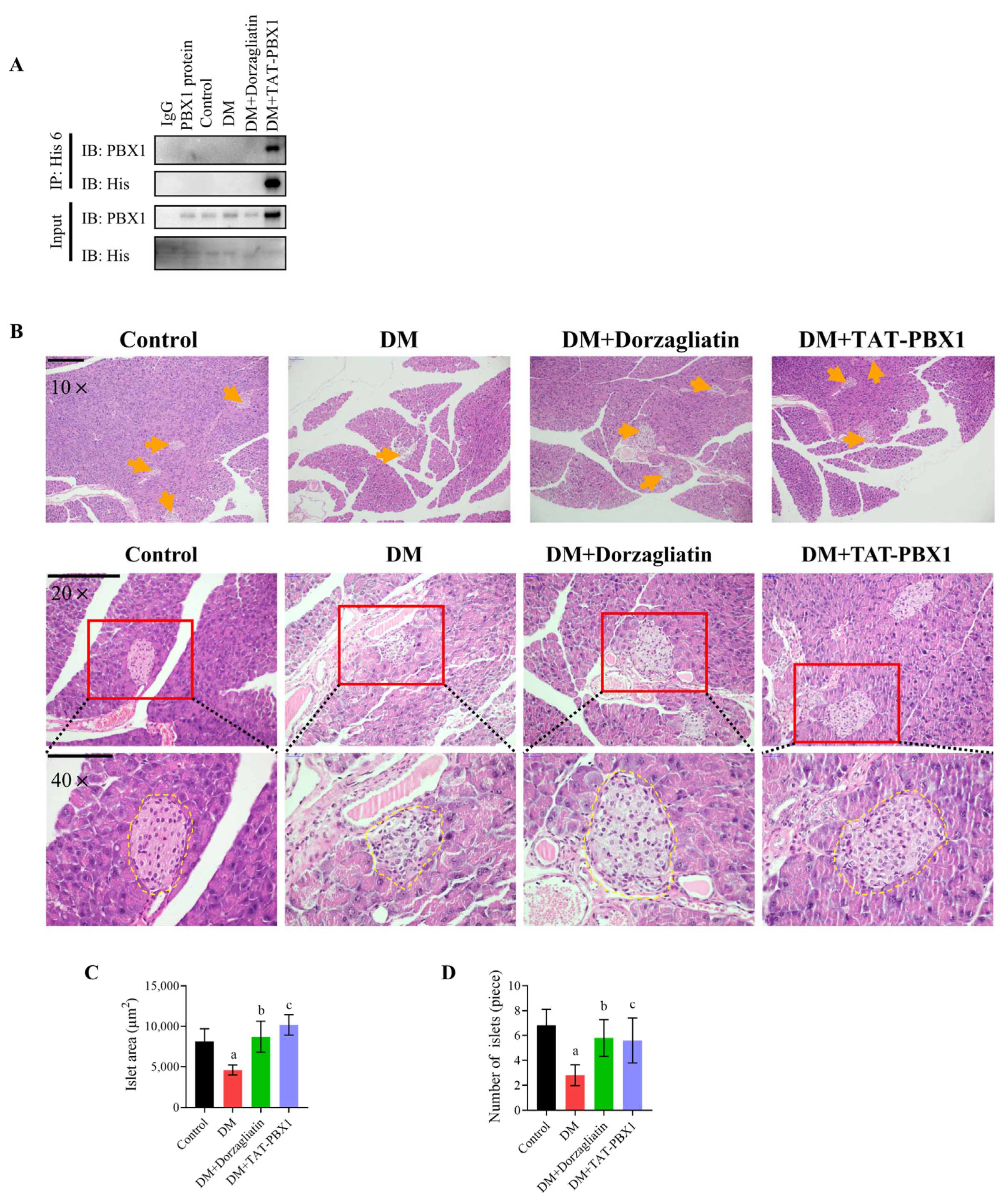 Pharmaceuticals 19 00085 g006 Pharmaceuticals 19 00085 g006