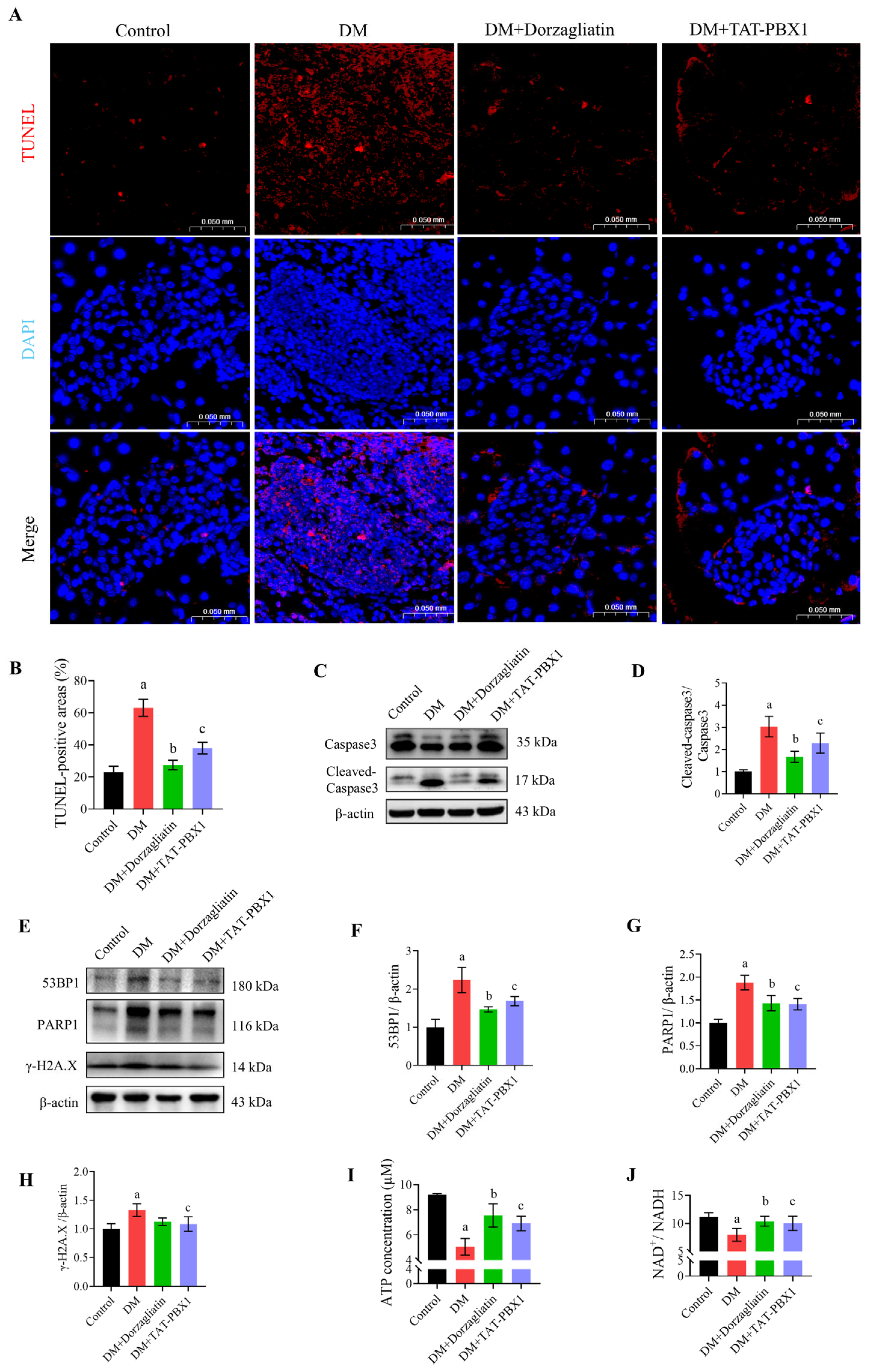 Pharmaceuticals 19 00085 g007 Pharmaceuticals 19 00085 g007