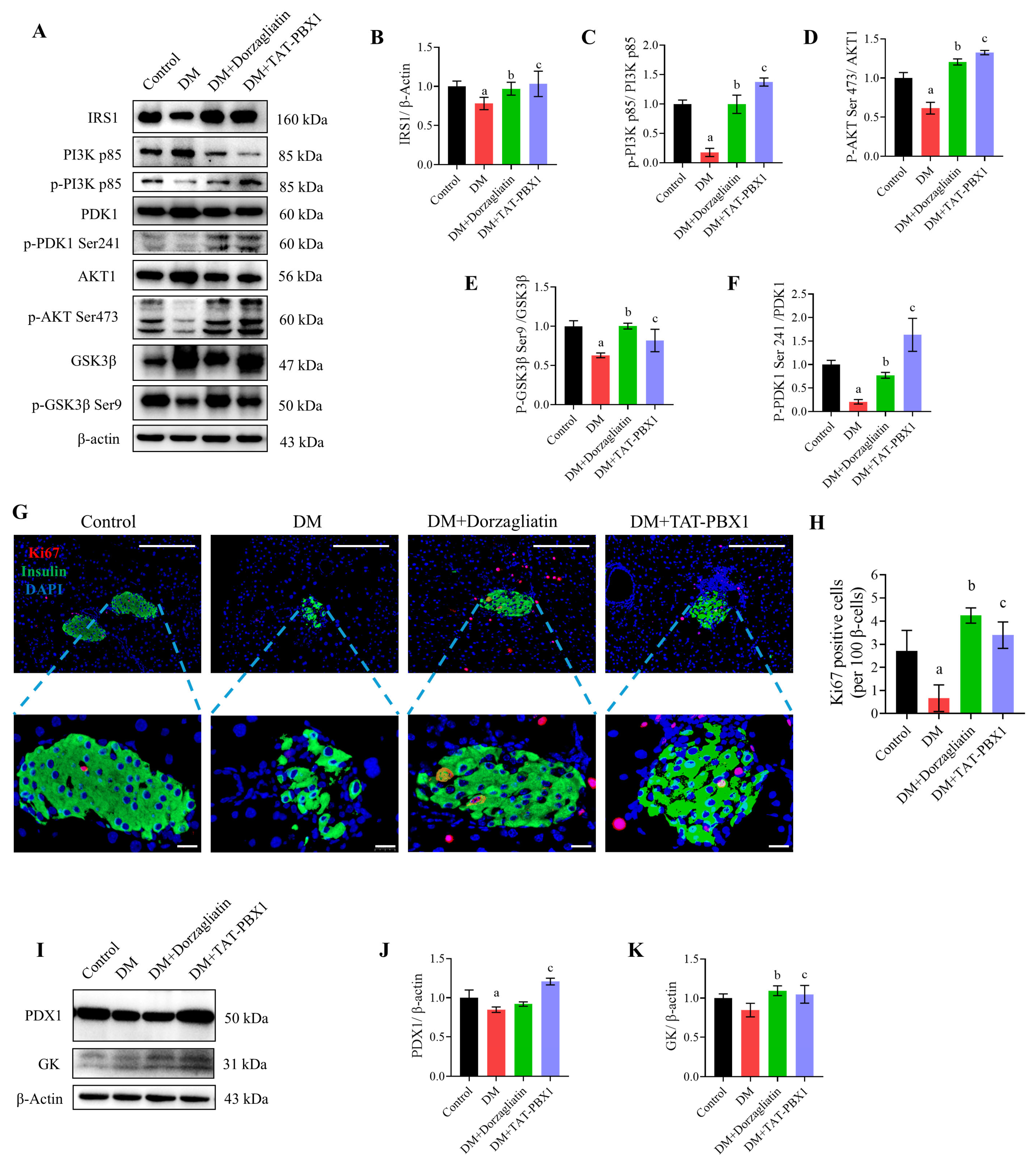 Pharmaceuticals 19 00085 g008 Pharmaceuticals 19 00085 g008