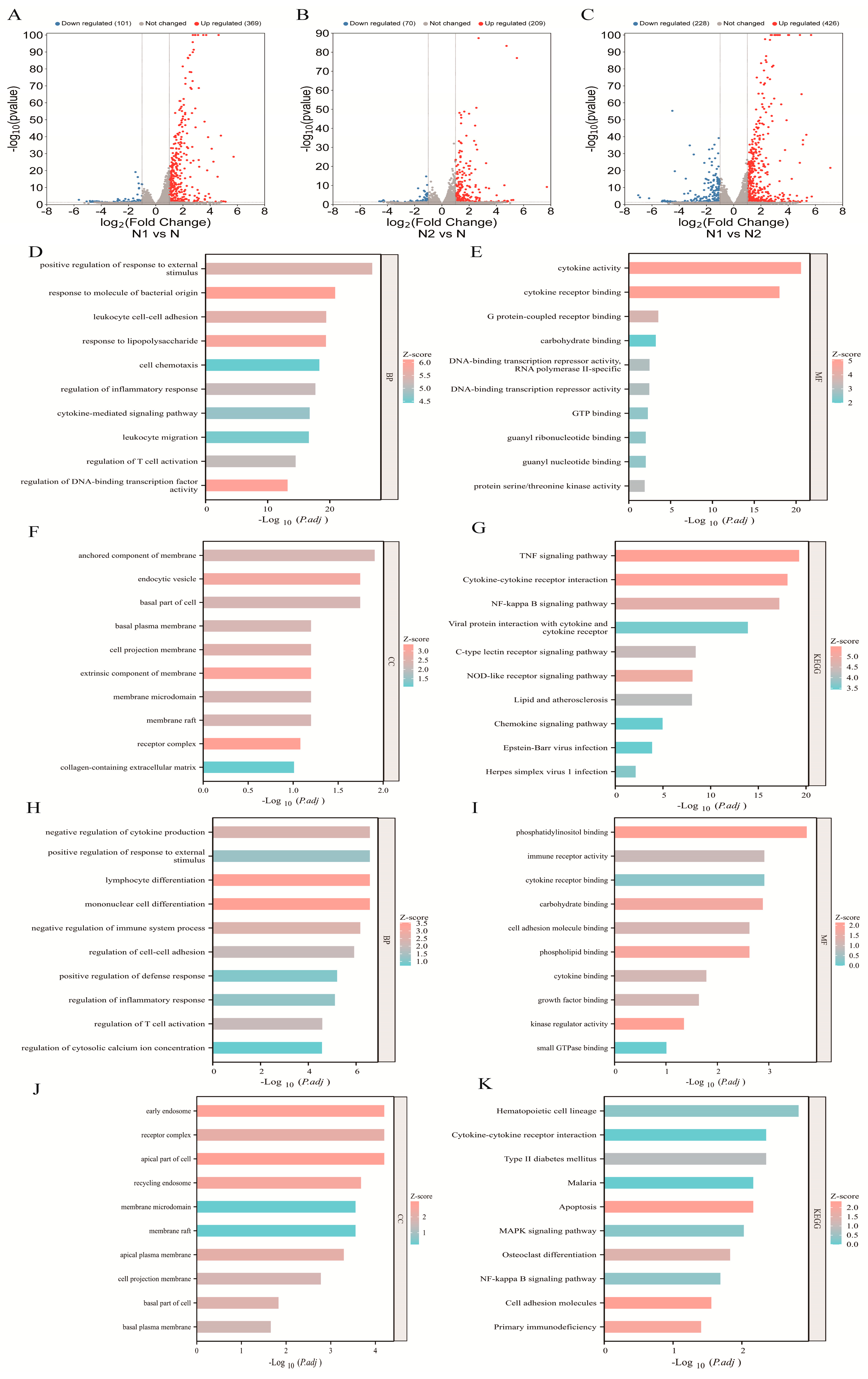 Pharmaceuticals 19 00088 g001 Pharmaceuticals 19 00088 g001