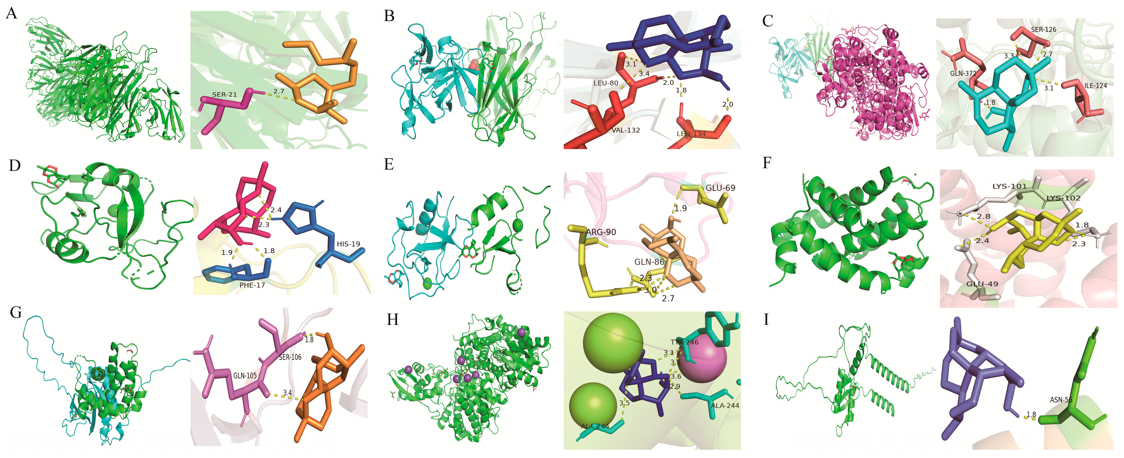 Pharmaceuticals 19 00088 g003 Pharmaceuticals 19 00088 g003