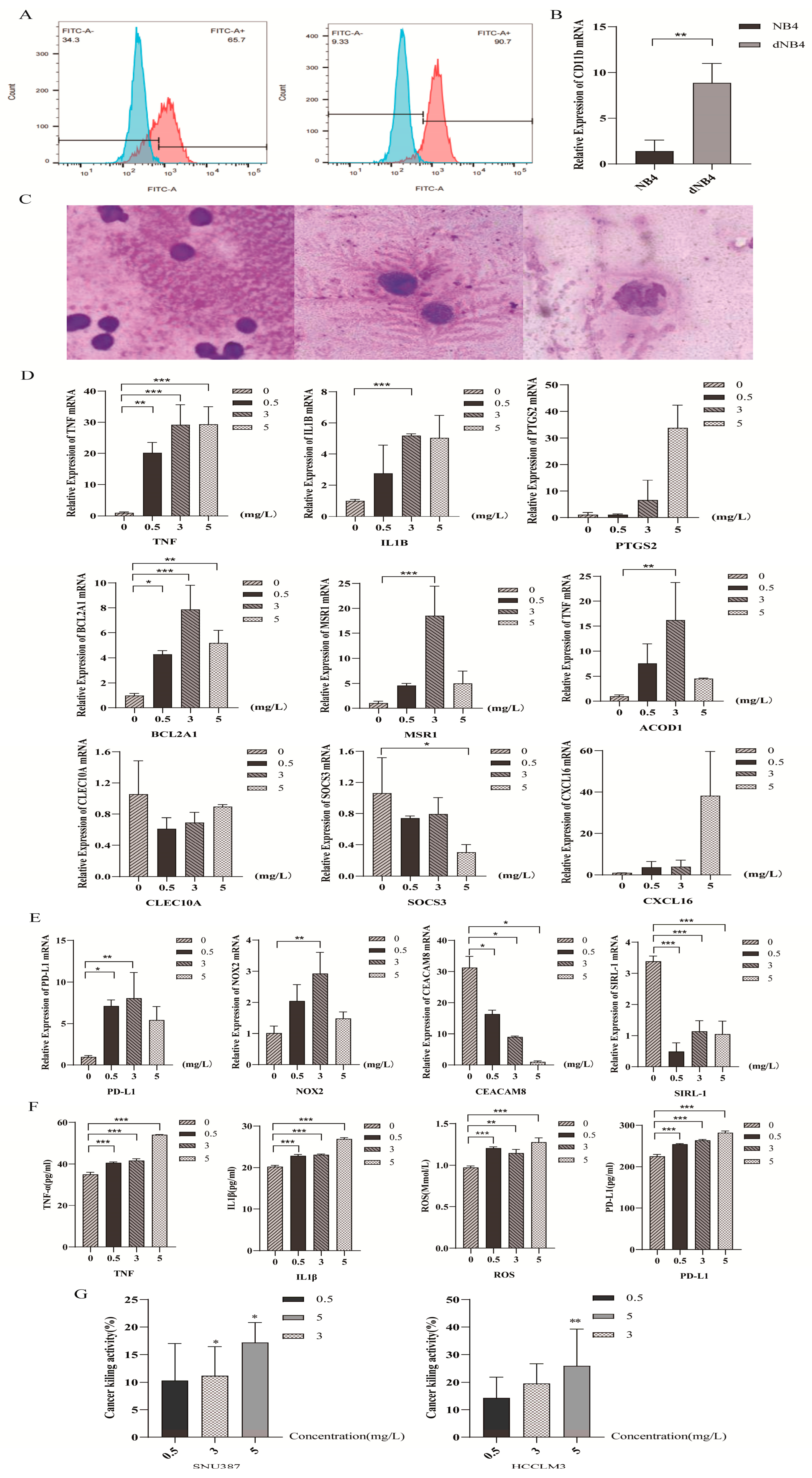 Pharmaceuticals 19 00088 g005 Pharmaceuticals 19 00088 g005