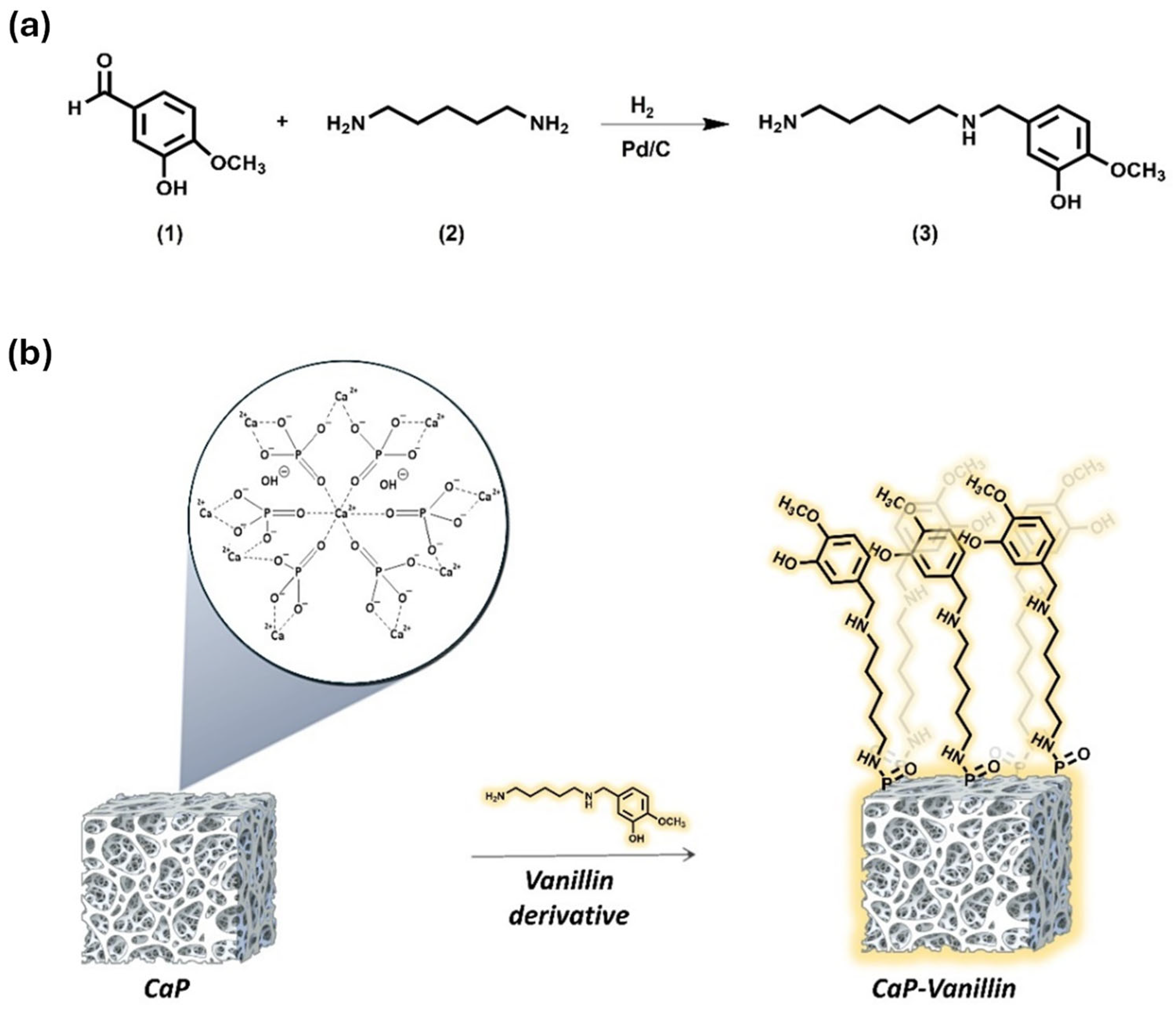 Pharmaceuticals 19 00091 sch001 Pharmaceuticals 19 00091 sch001