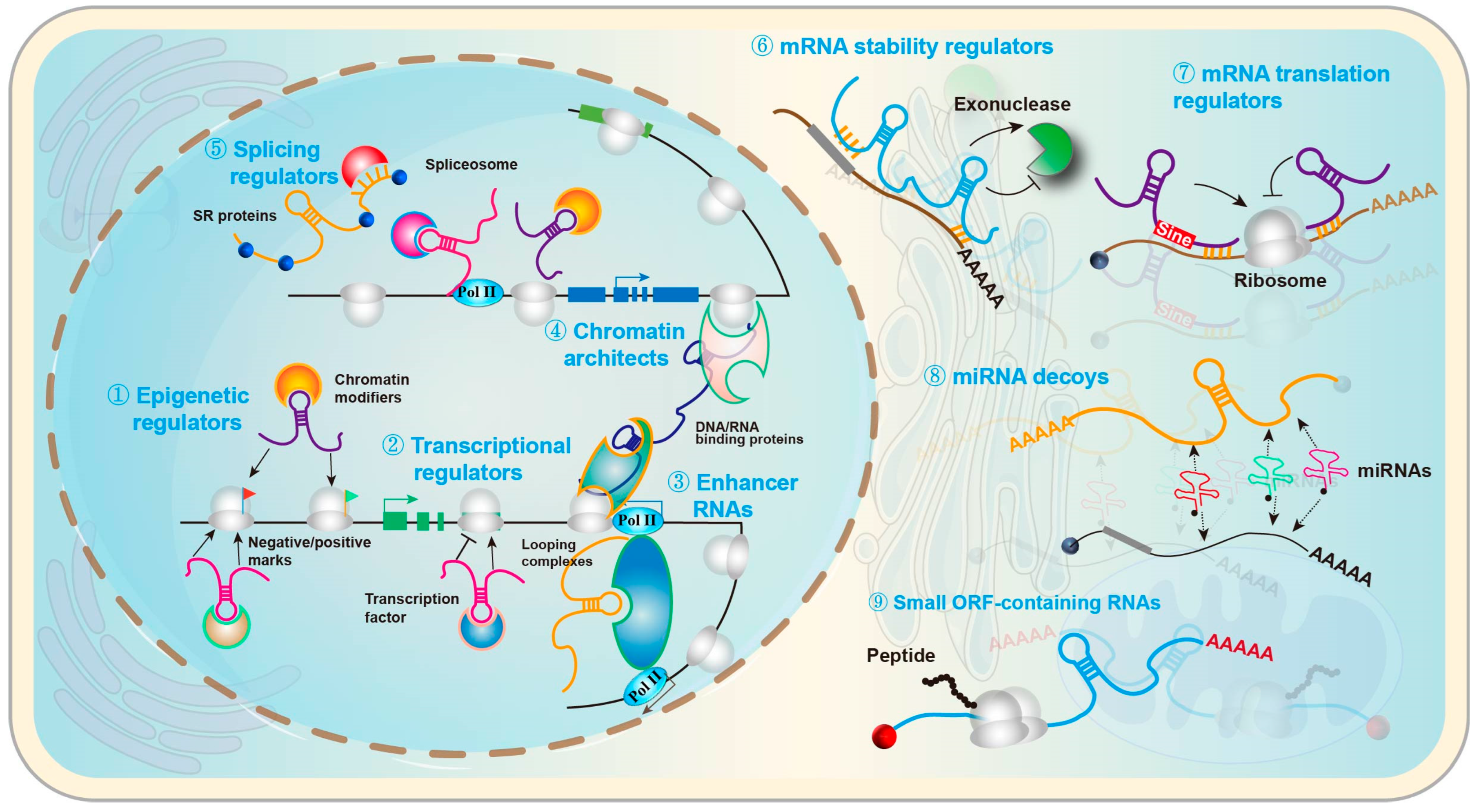 Pharmaceuticals 19 00092 g004 Pharmaceuticals 19 00092 g004