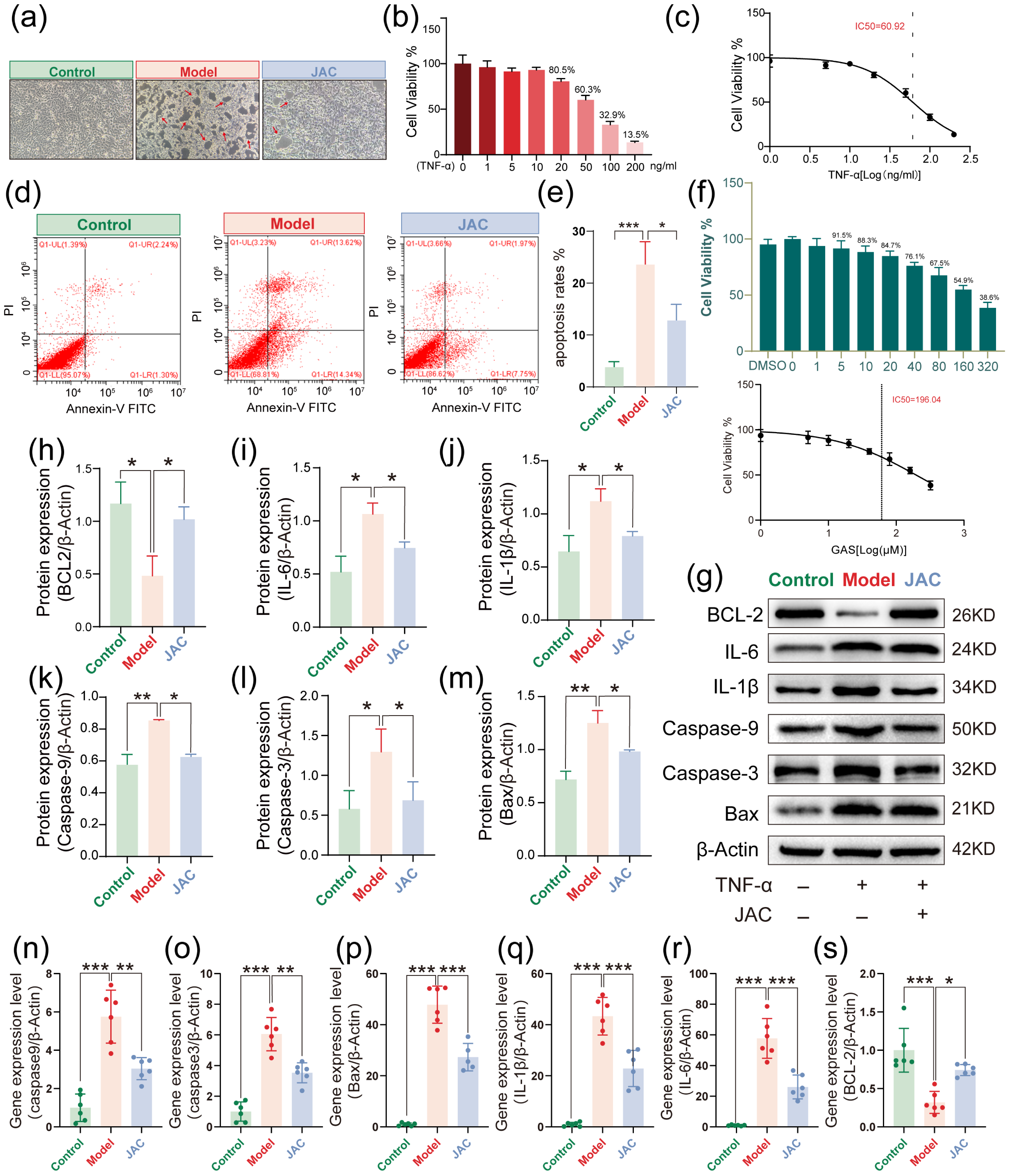 Pharmaceuticals 19 00097 g001 Pharmaceuticals 19 00097 g001