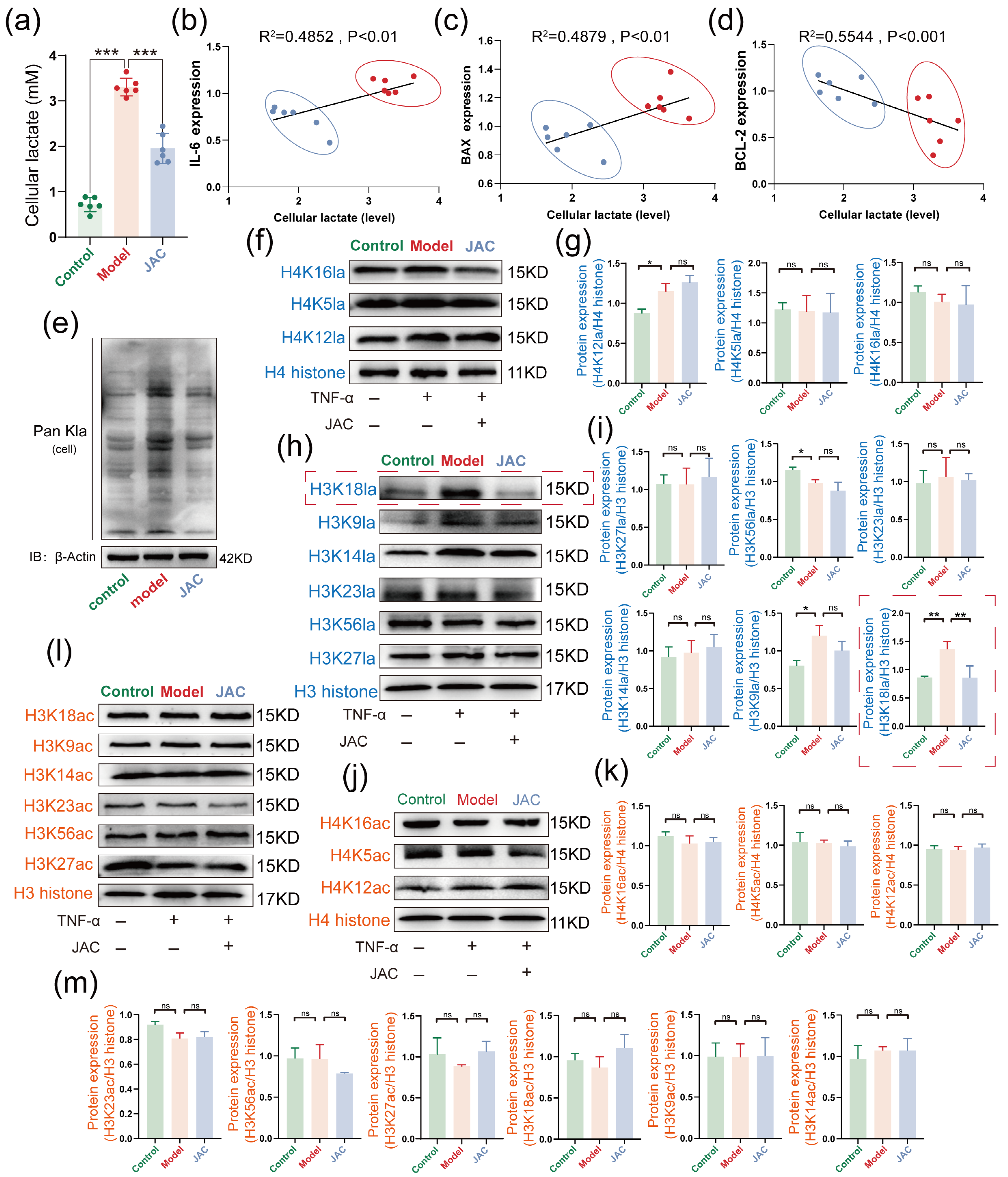 Pharmaceuticals 19 00097 g004 Pharmaceuticals 19 00097 g004