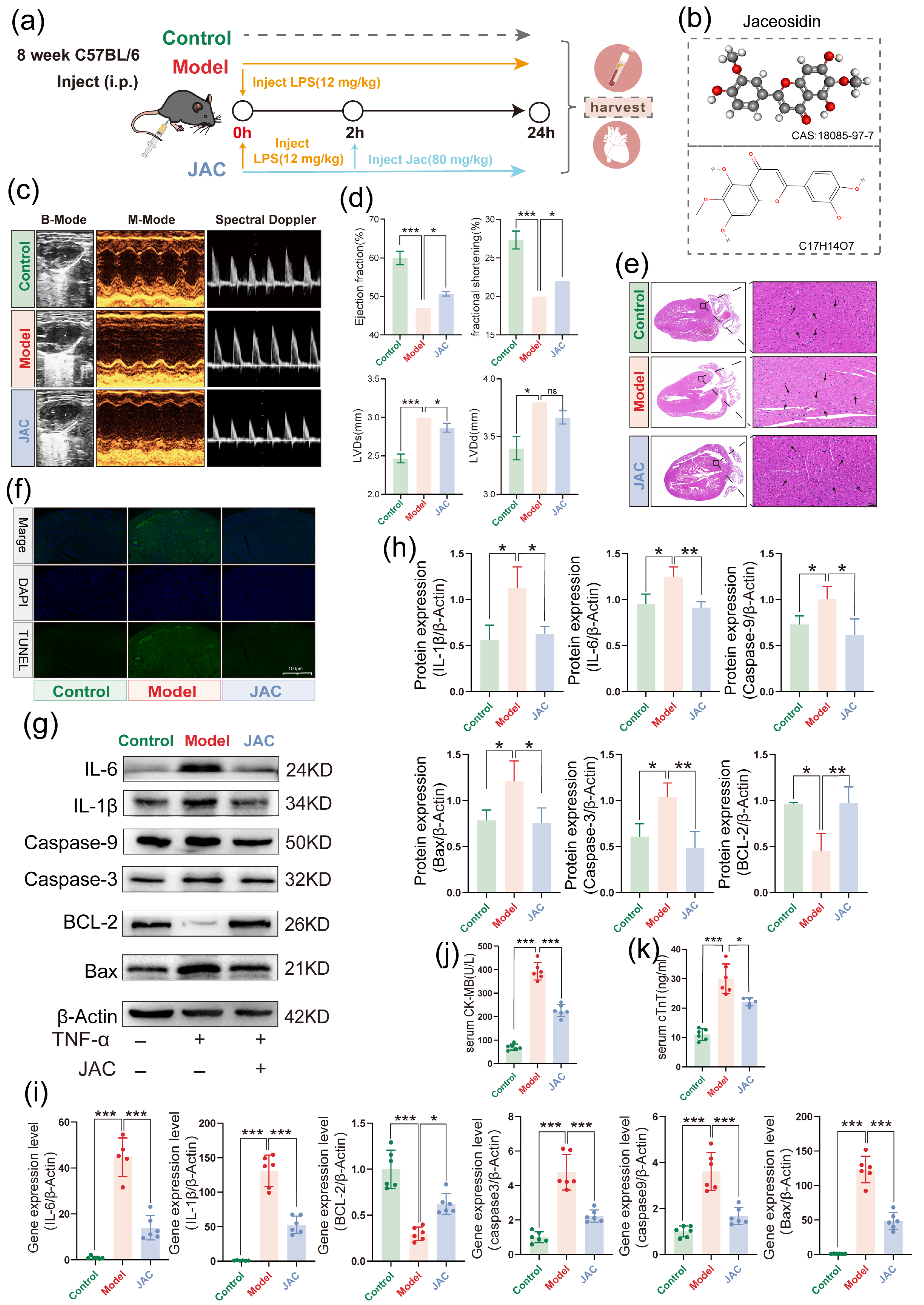 Pharmaceuticals 19 00097 g006 Pharmaceuticals 19 00097 g006