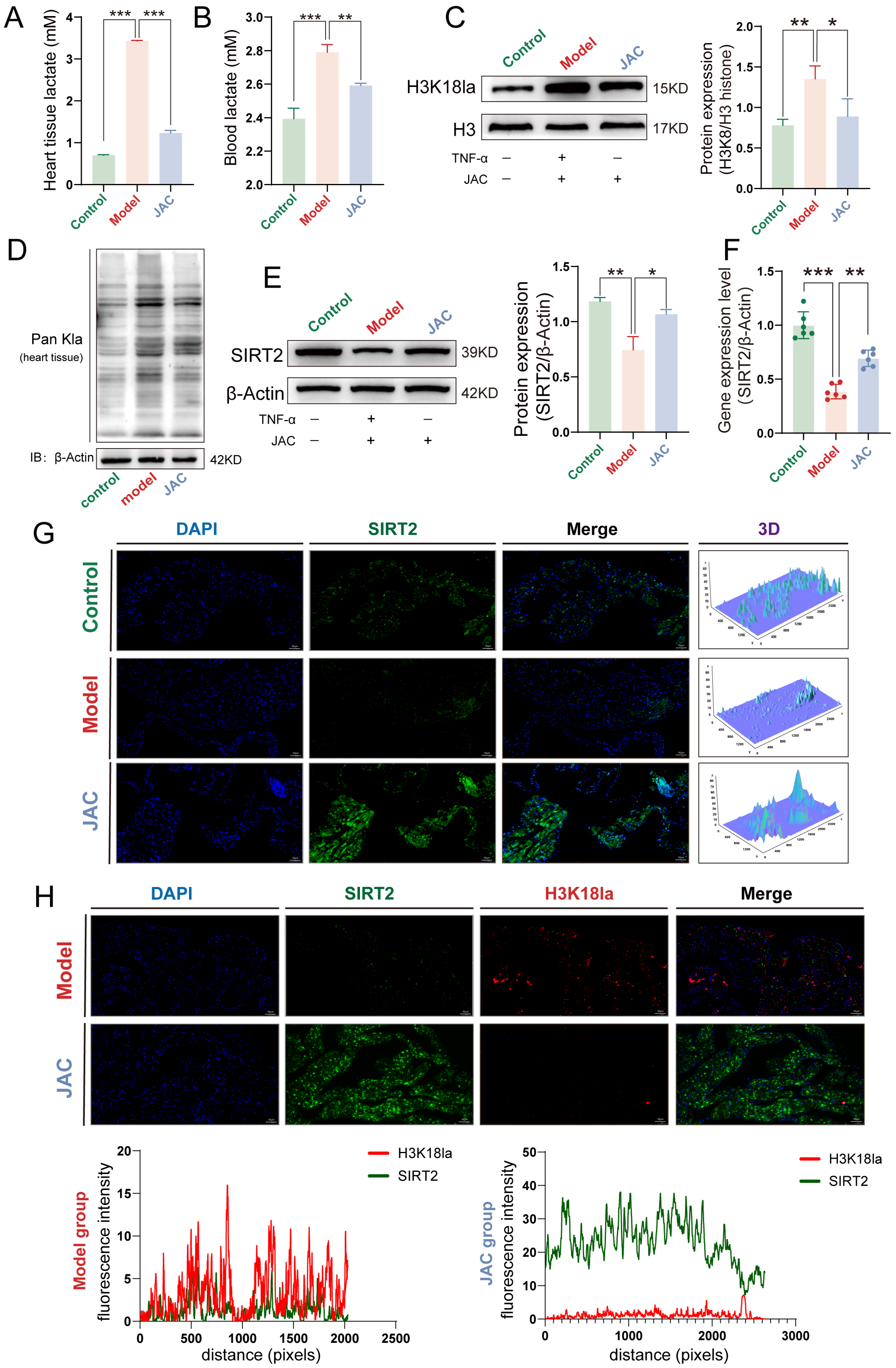 Pharmaceuticals 19 00097 g007 Pharmaceuticals 19 00097 g007